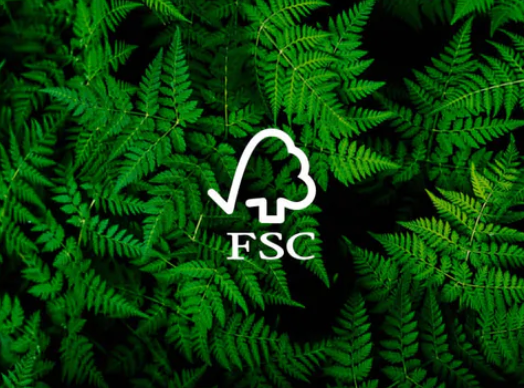 Wallsome ♥︎ the planet