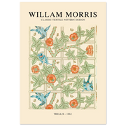 019bdbd7-92db-4e8e-88ae-c05cff6fb461