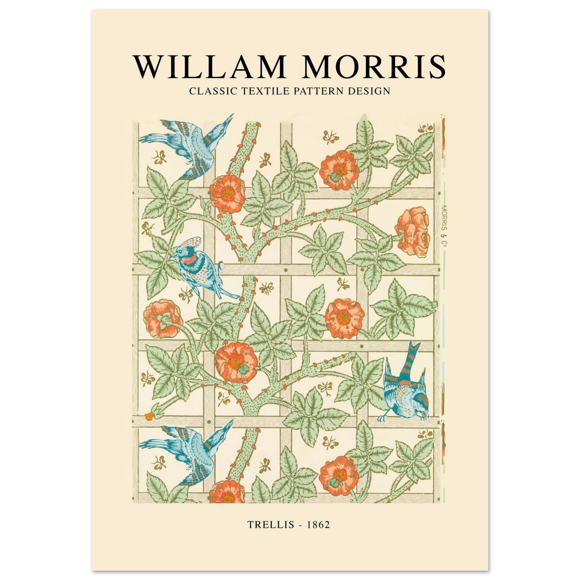 019bdbd7-92db-4e8e-88ae-c05cff6fb461