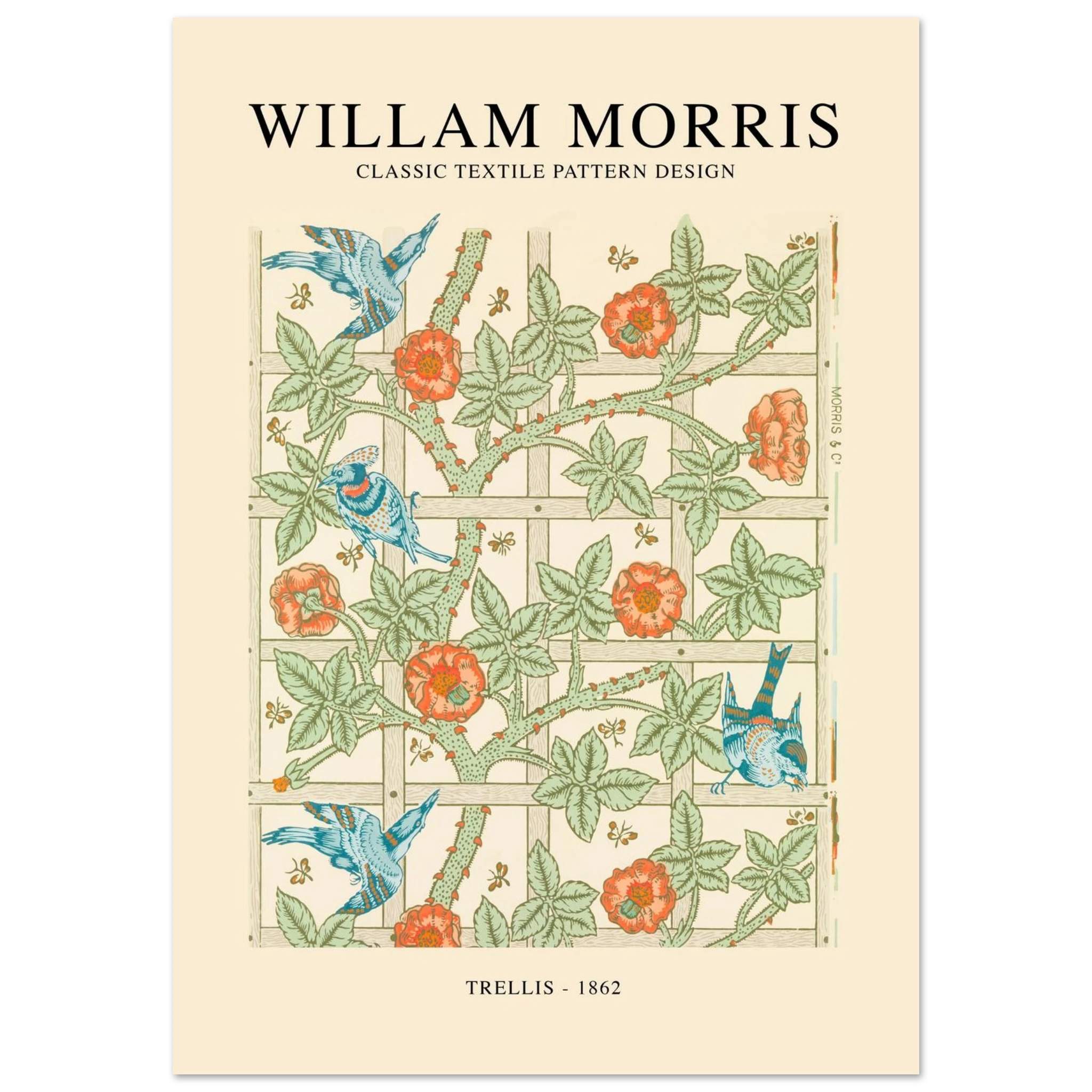 019bdbd7-92db-4e8e-88ae-c05cff6fb461