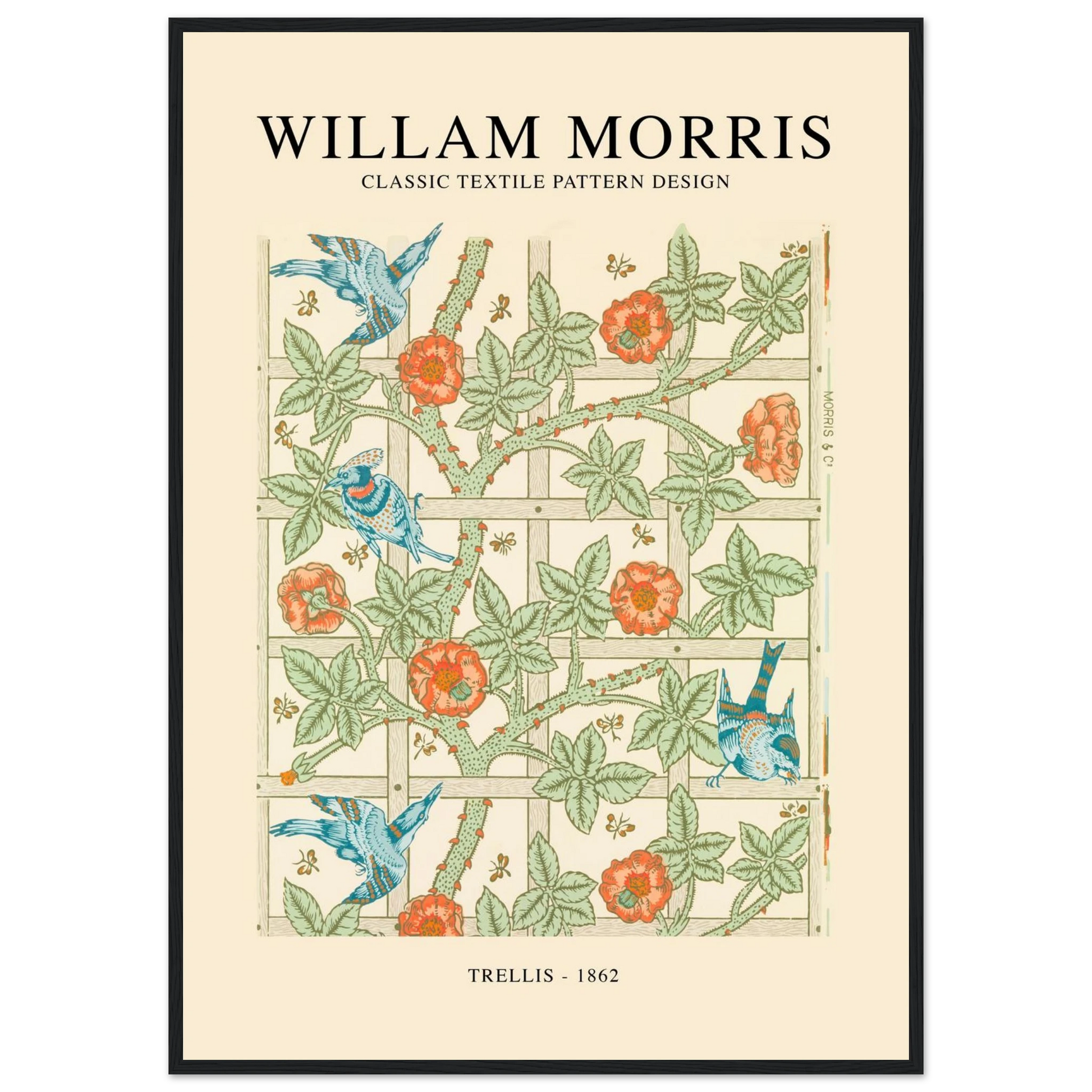 07ab3cd2-5b4e-4395-bb9a-994e38df5d0e