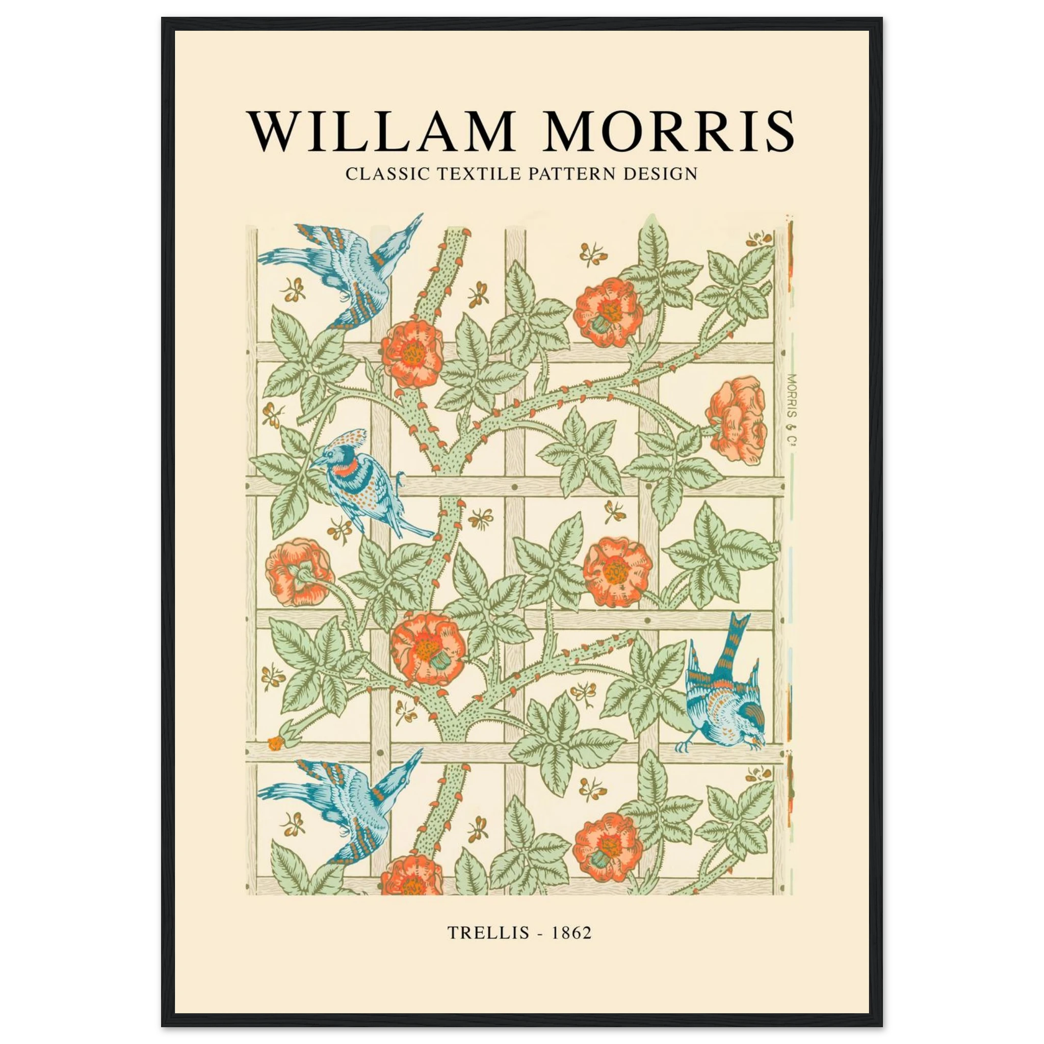 07ab3cd2-5b4e-4395-bb9a-994e38df5d0e