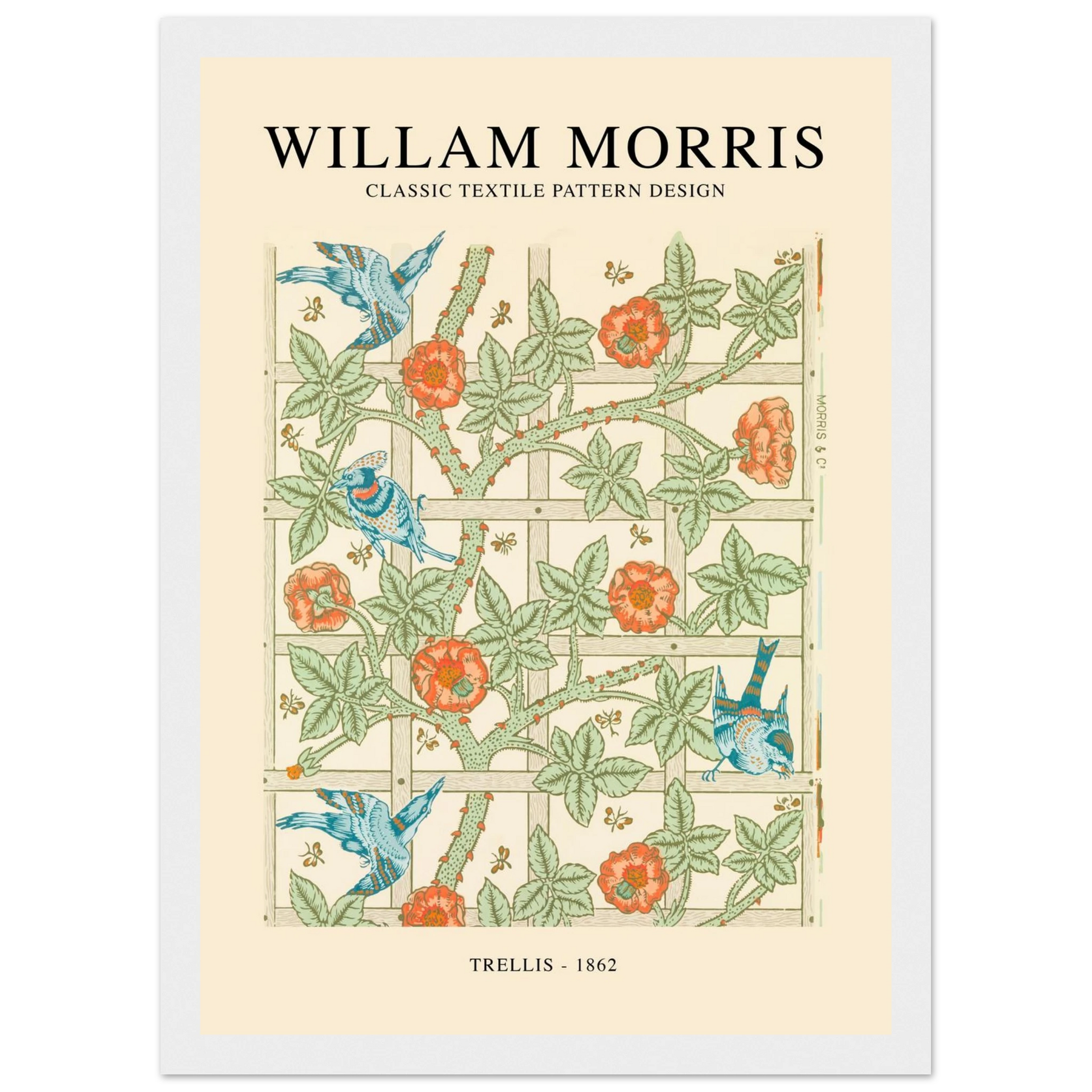 0cf838fb-4c19-4135-90ef-8b4e690e30a9