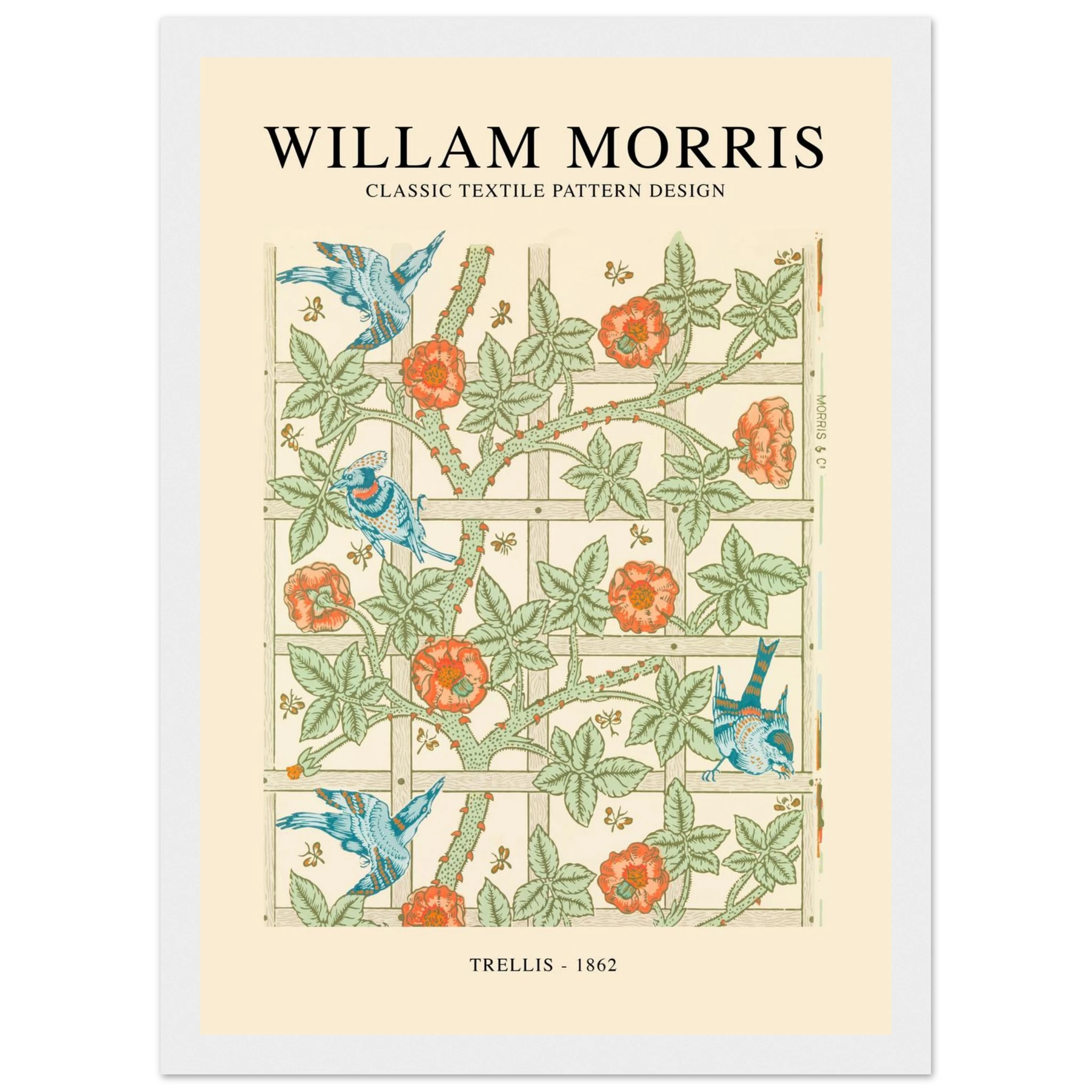 0cf838fb-4c19-4135-90ef-8b4e690e30a9