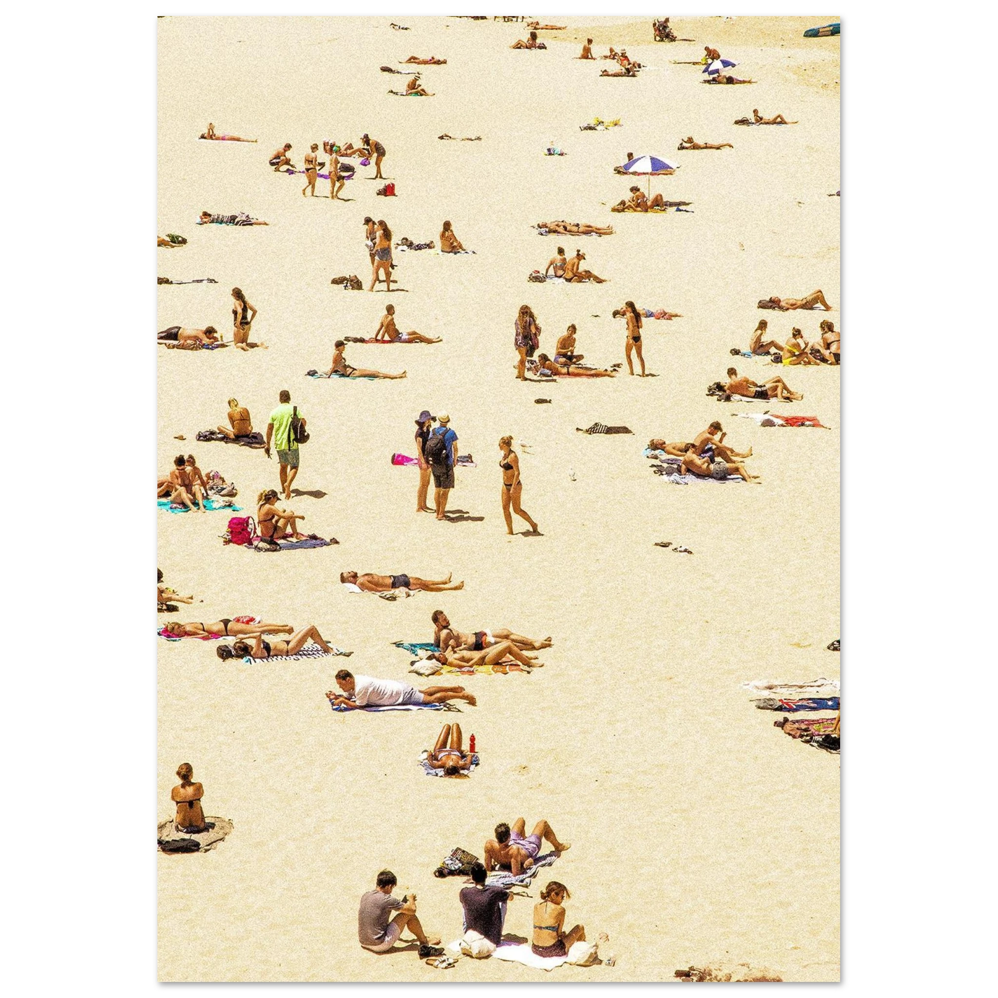 1b2e6c67-c95d-4c67-bbcd-4e21b01c7f7c