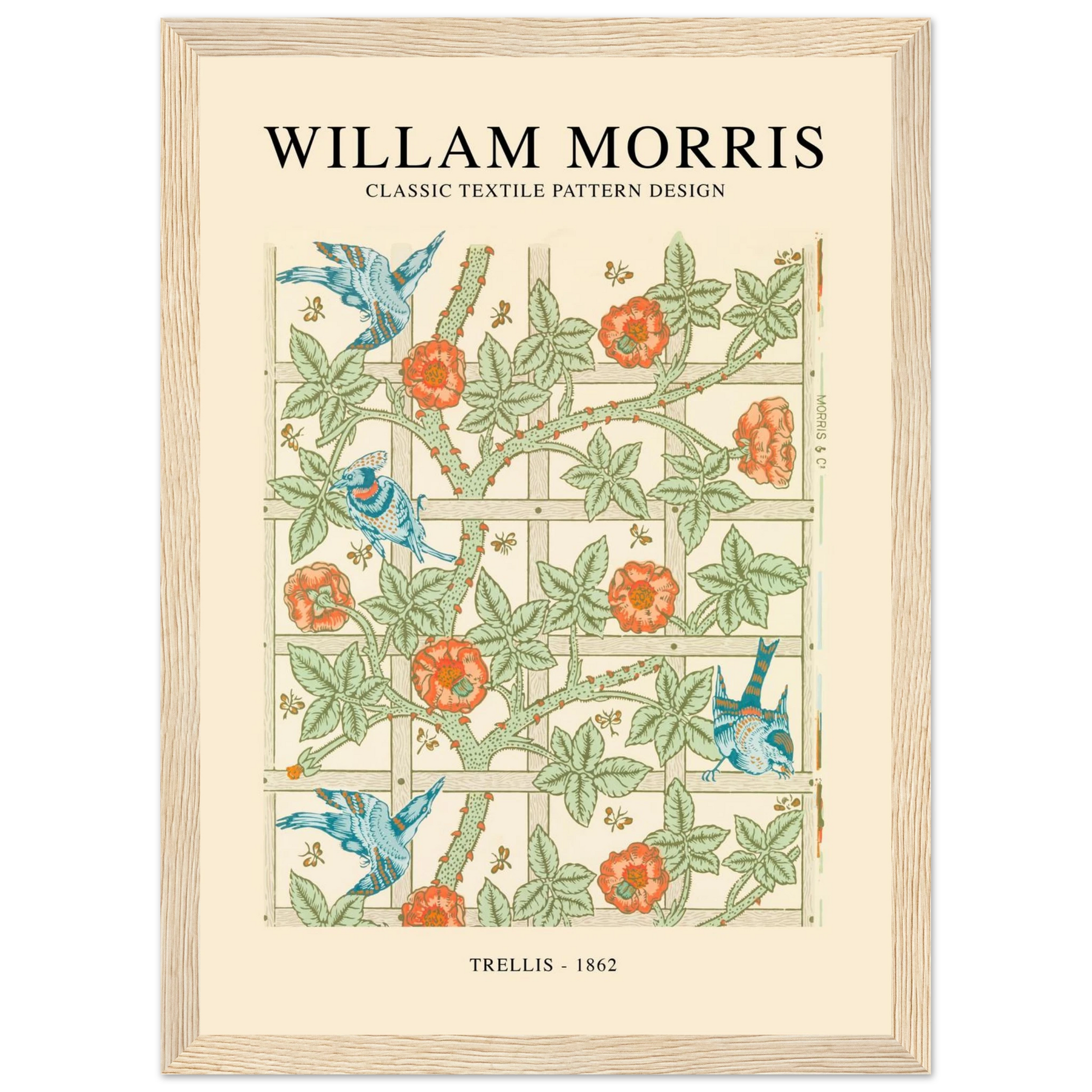 244ea00b-9456-4639-afe3-8da1013f777c