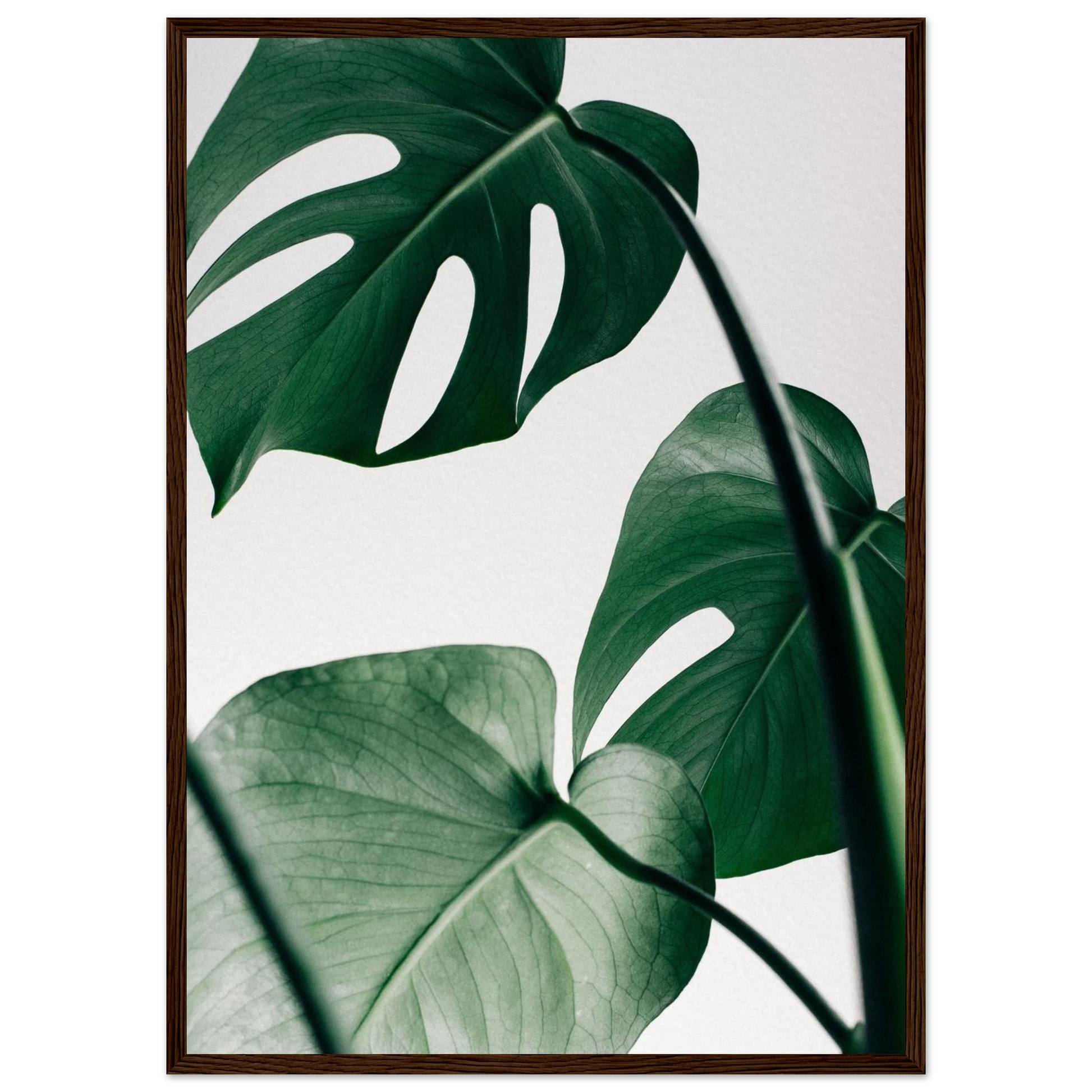 26bb9f5c-866d-4b50-a532-89e8ce86fdfd