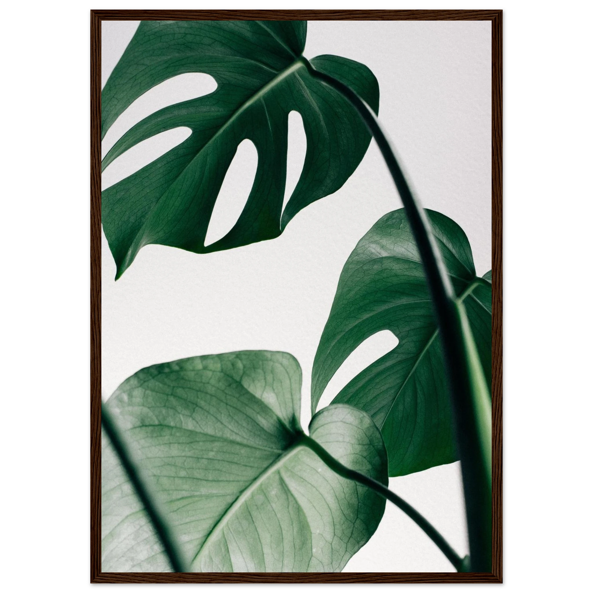 26bb9f5c-866d-4b50-a532-89e8ce86fdfd