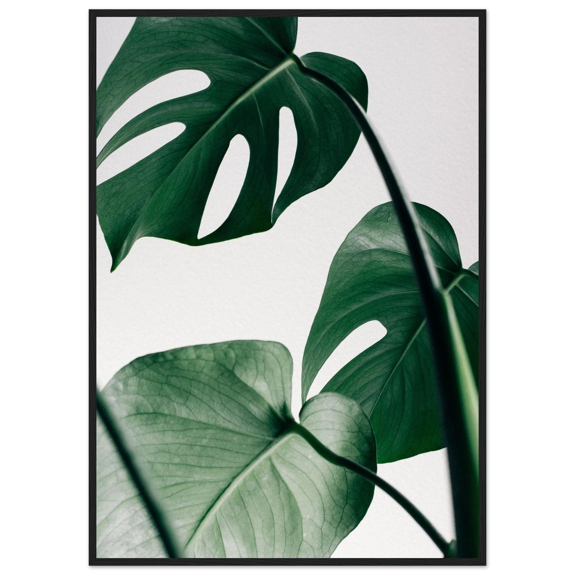 2d780e5a-9d14-4807-82e1-ee06b5a64e27