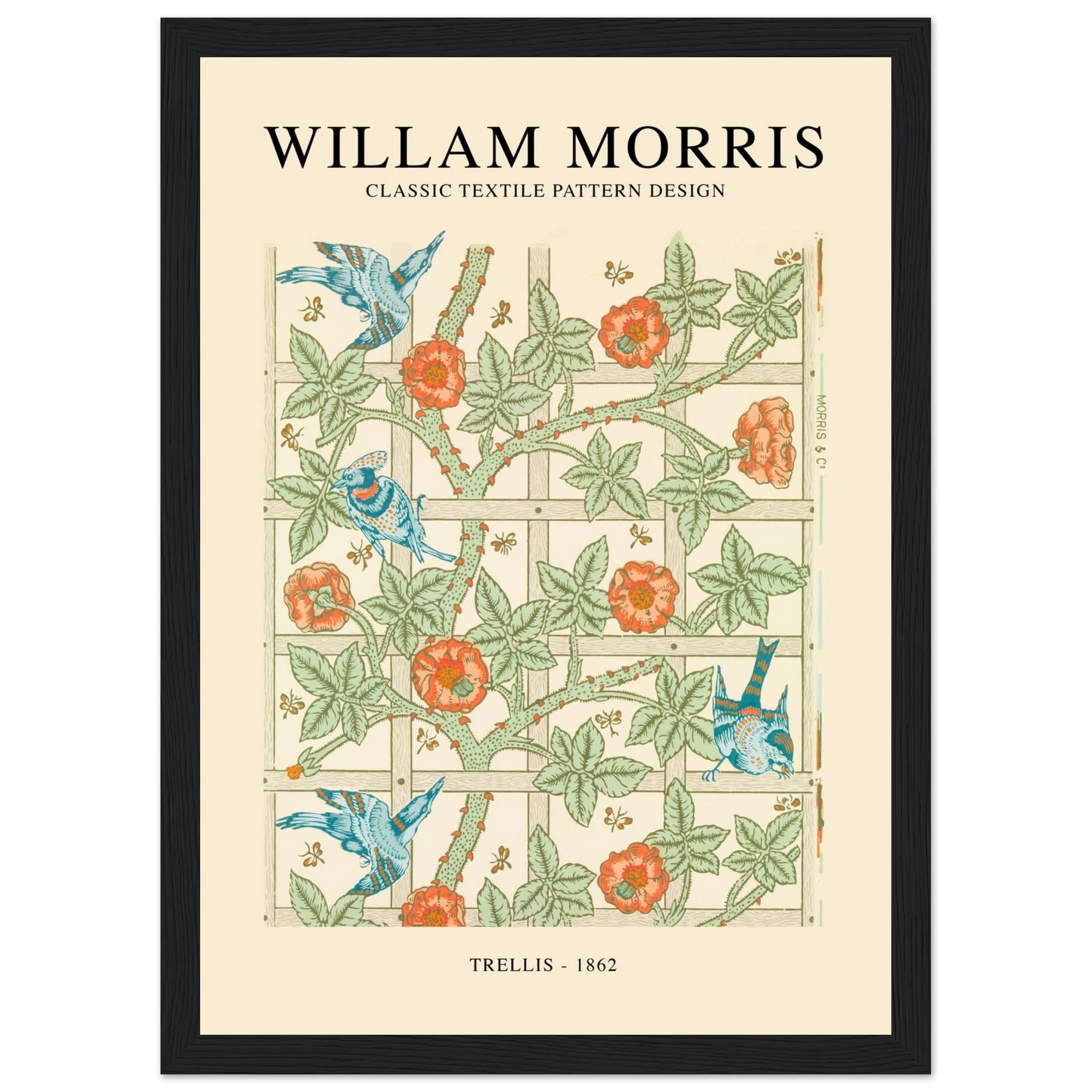 356d2714-34fd-4f22-8789-4ff0e6d0ca95