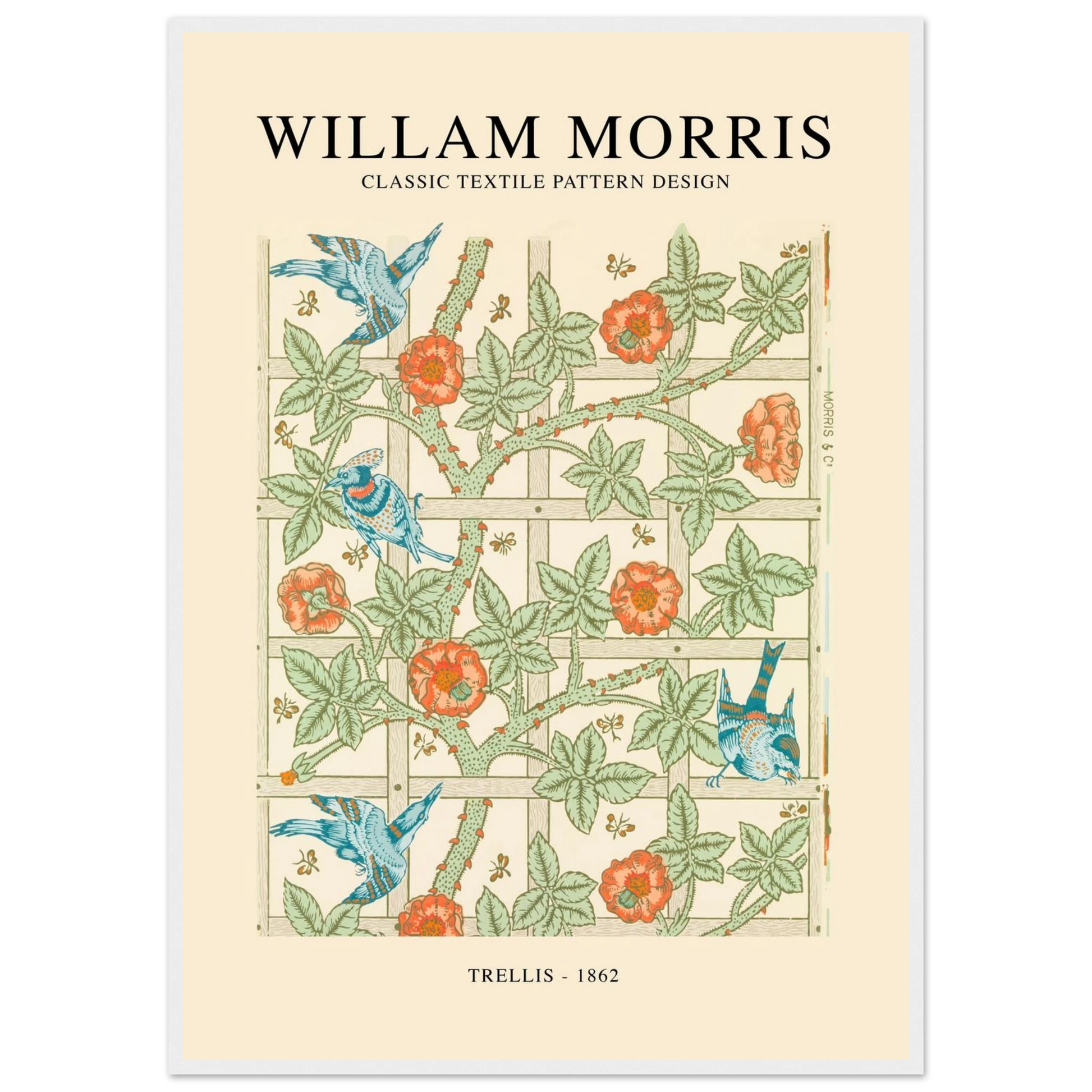 44273e3e-4ca7-4270-94ba-fe5f3e952f94