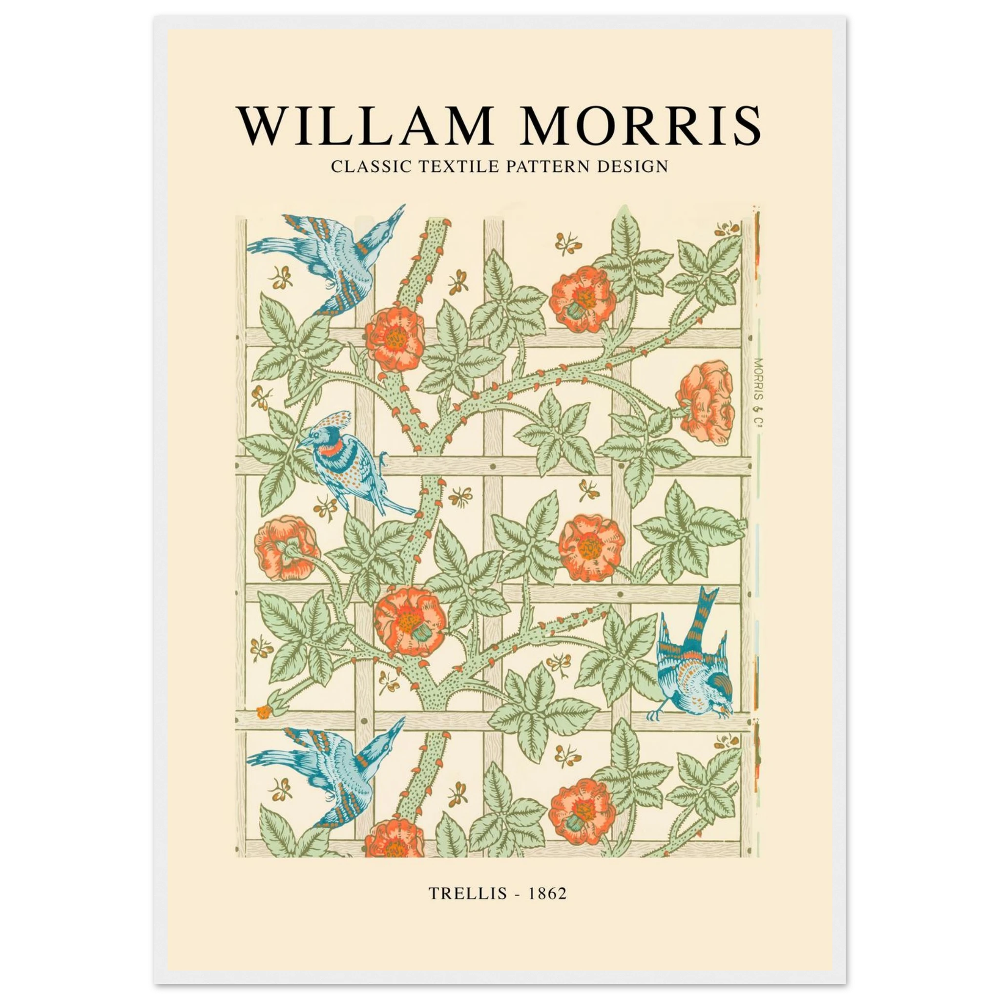 44273e3e-4ca7-4270-94ba-fe5f3e952f94