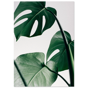 4d671d34-3467-4694-8c61-cb32e933b20c