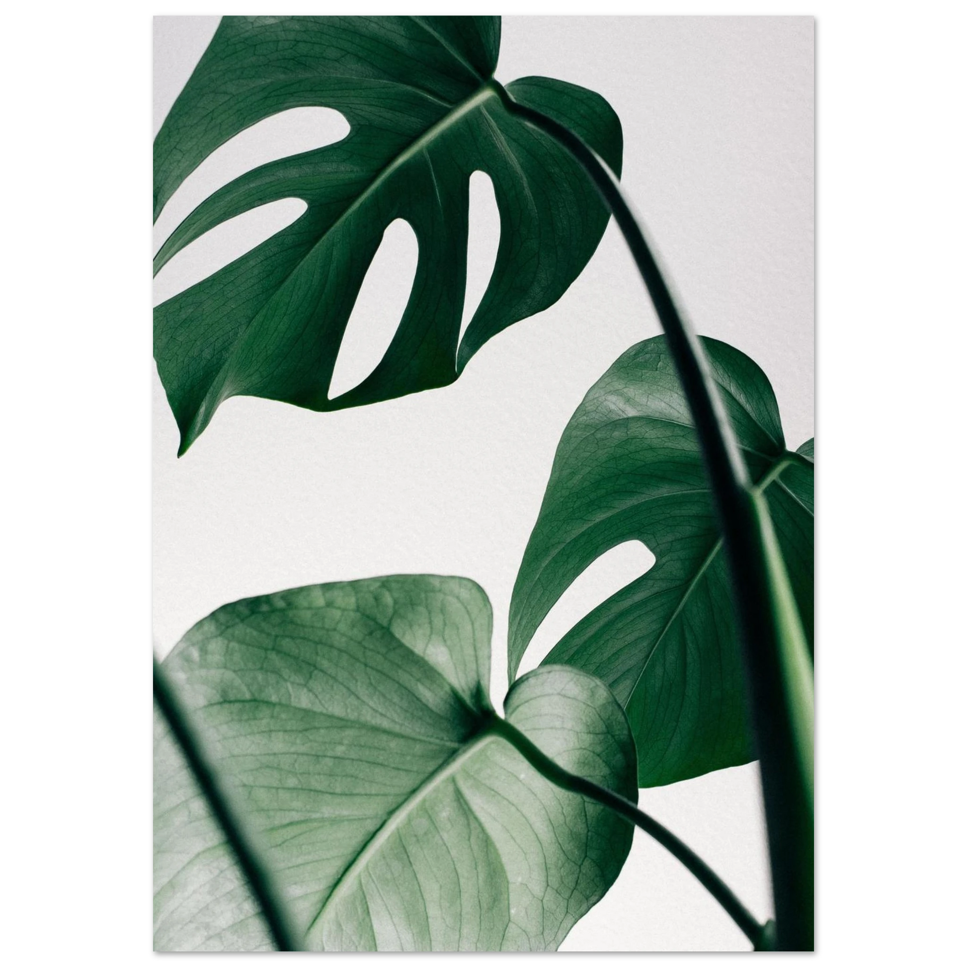 4d671d34-3467-4694-8c61-cb32e933b20c