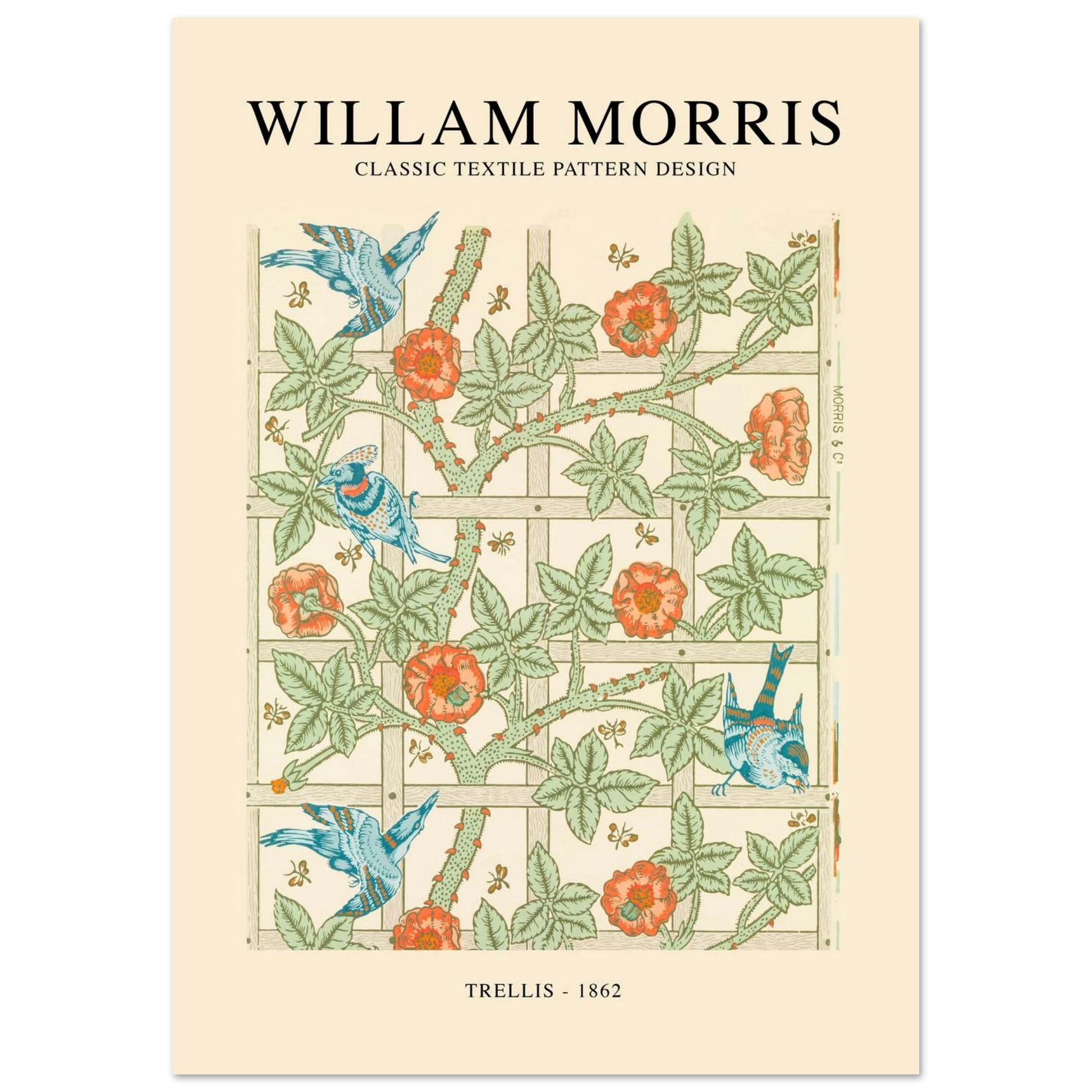 514989c9-ebdc-4b97-89d0-7e810b5f725d