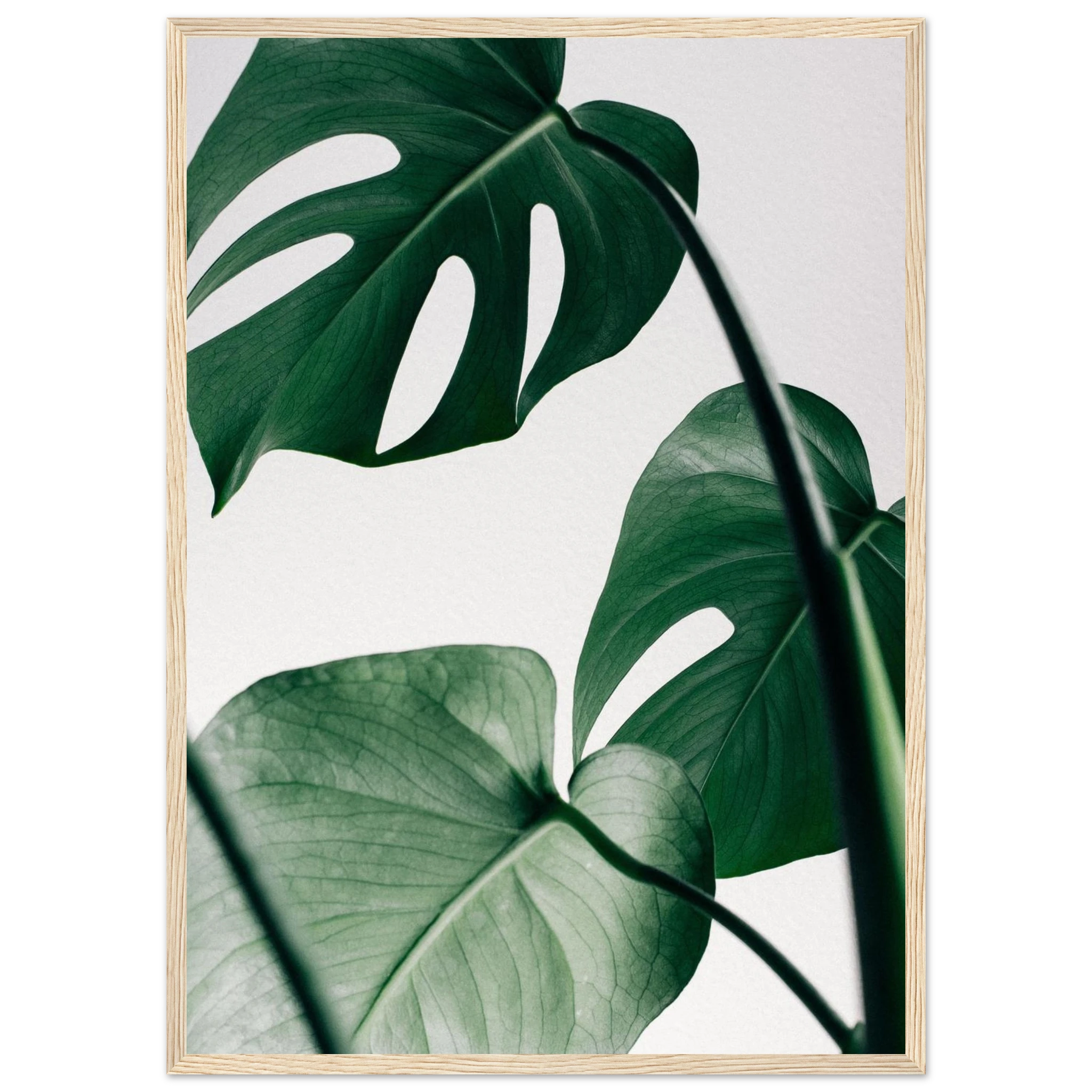 604597df-5a08-42ef-9f68-f98cd8d5fe13