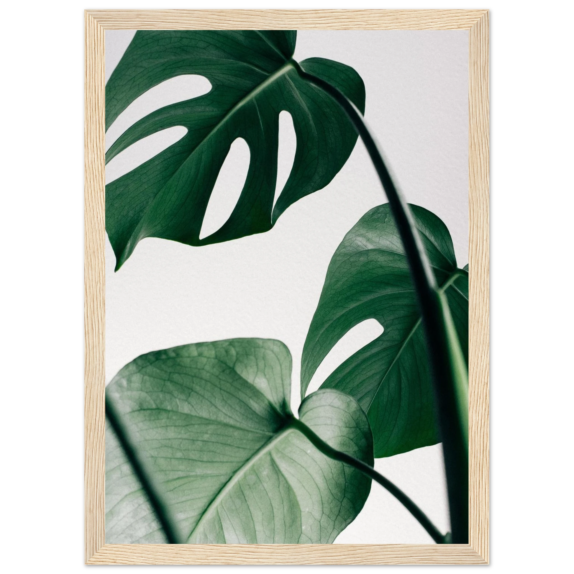 65fef218-fd90-4509-a47f-e2c49d62f312