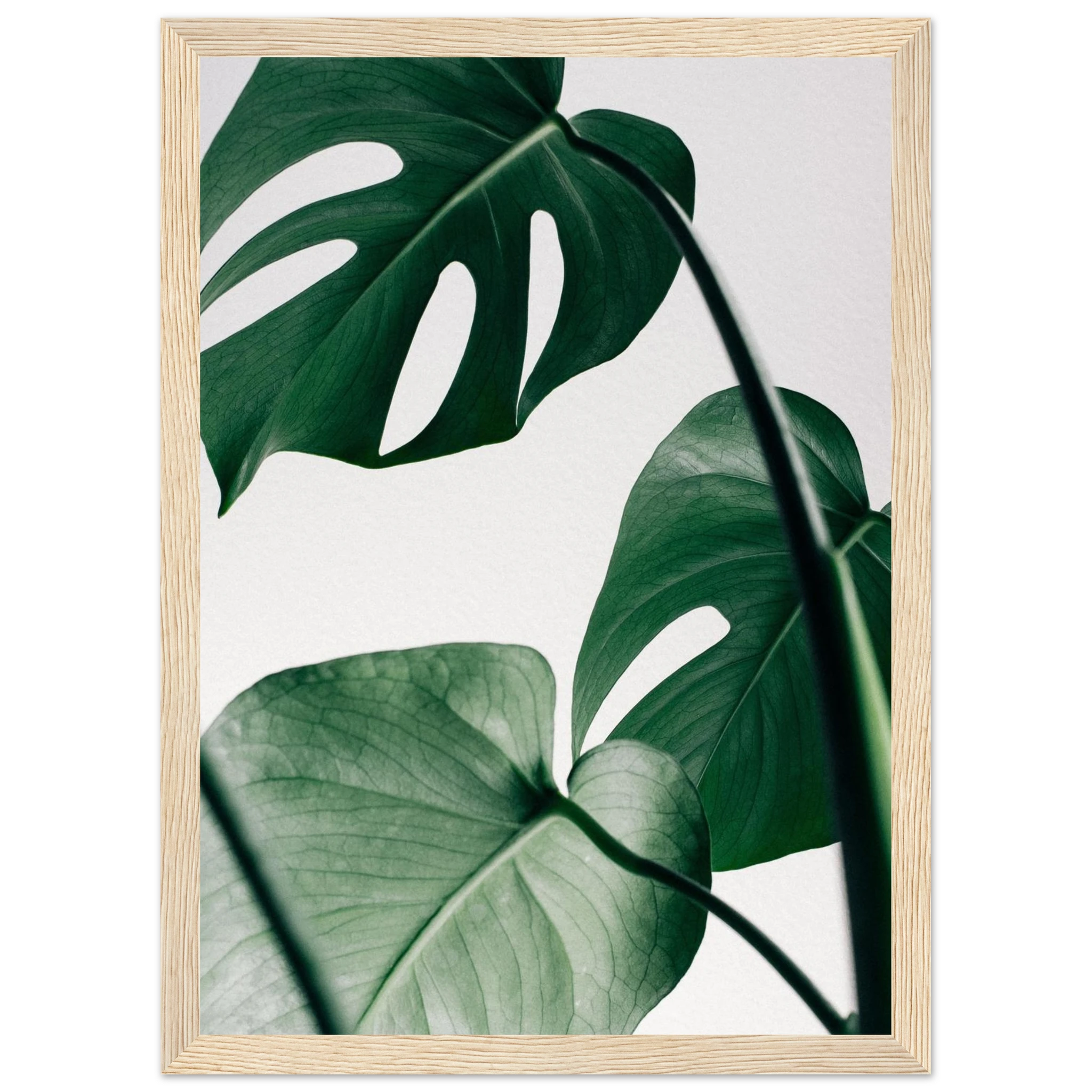 65fef218-fd90-4509-a47f-e2c49d62f312