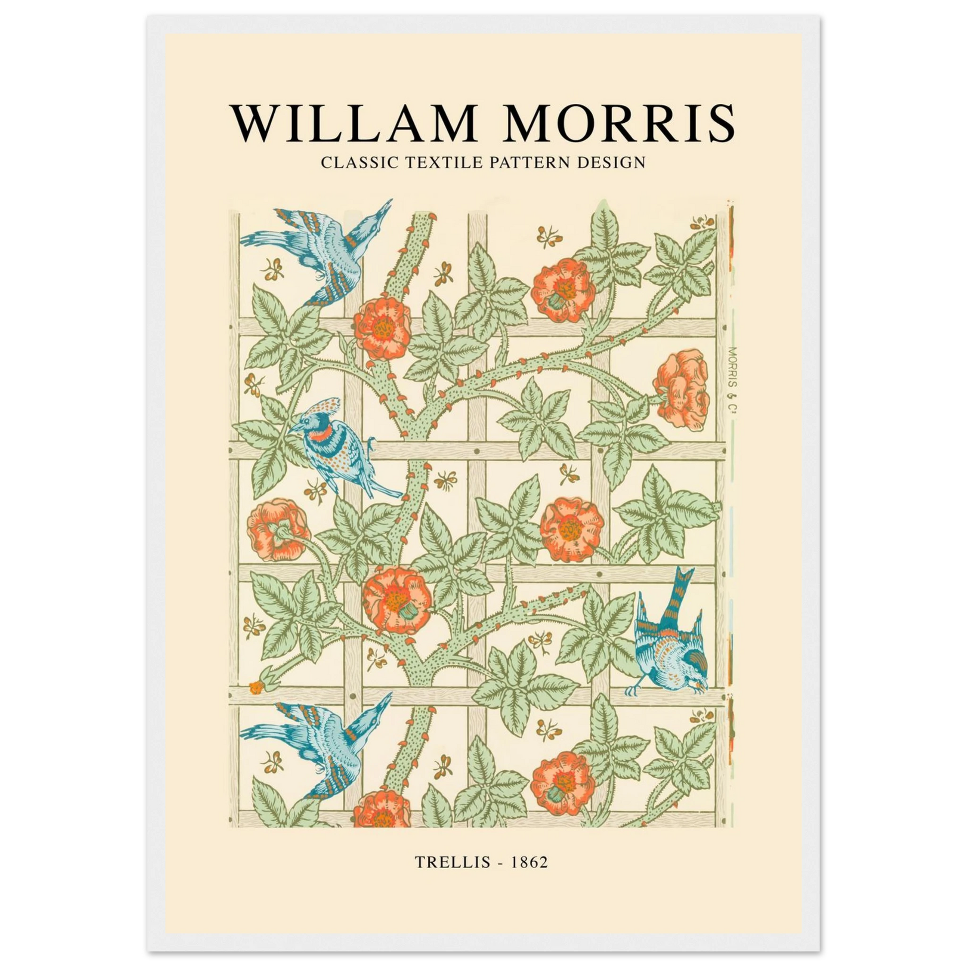 6a9b4e12-b9a3-4175-8260-26ada99a8b1c