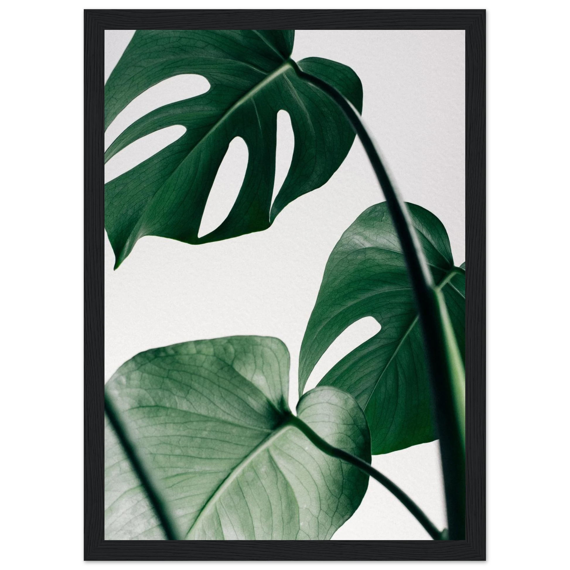 6ac596d1-c252-4b5b-a56e-3ae23acdea0a