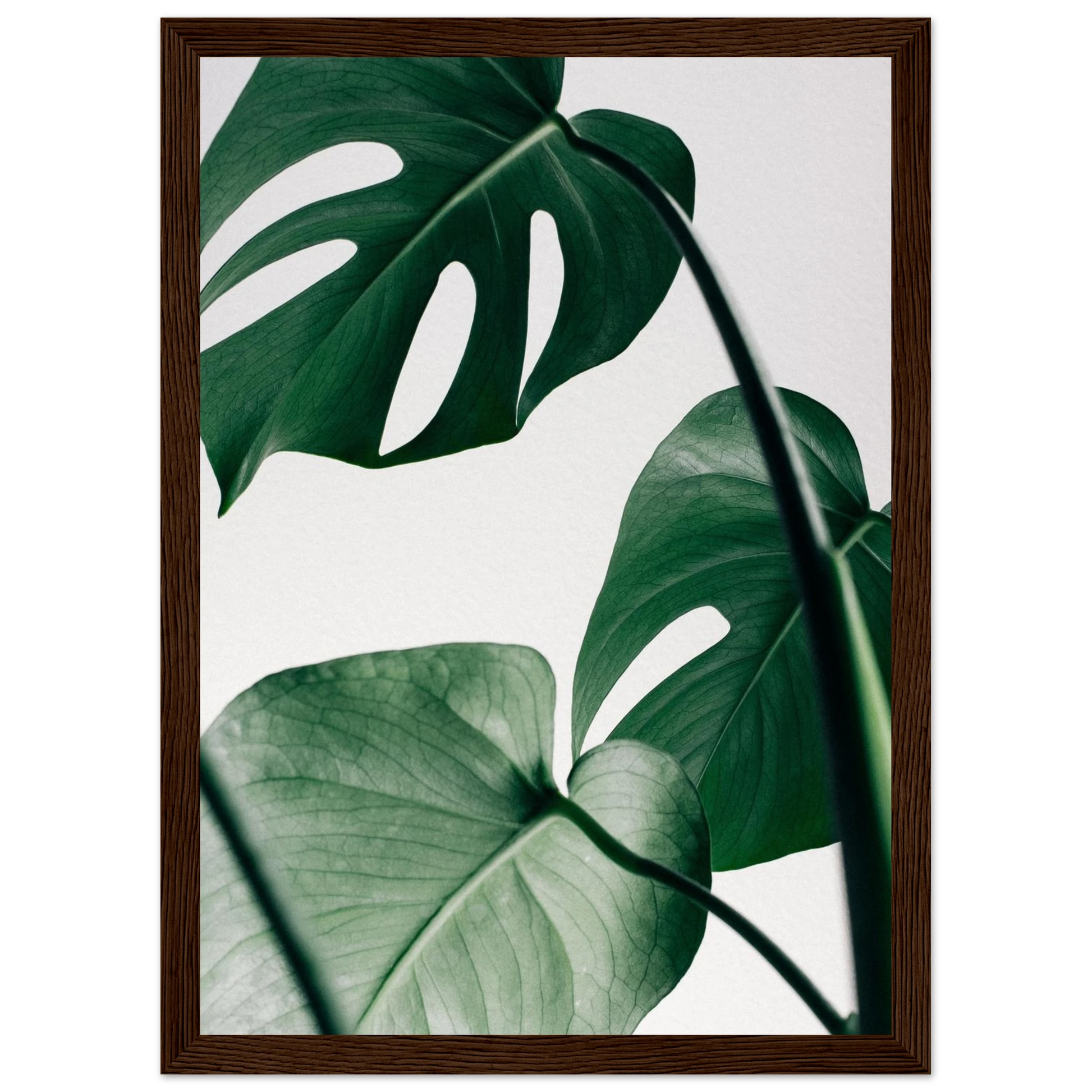 7325a066-5dc5-45f9-b795-cee145a80c32