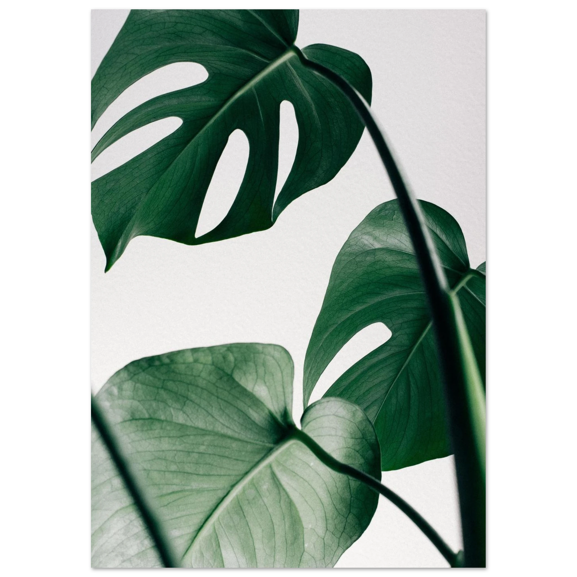 78510642-2134-4a9d-b8d1-efbe508efc86