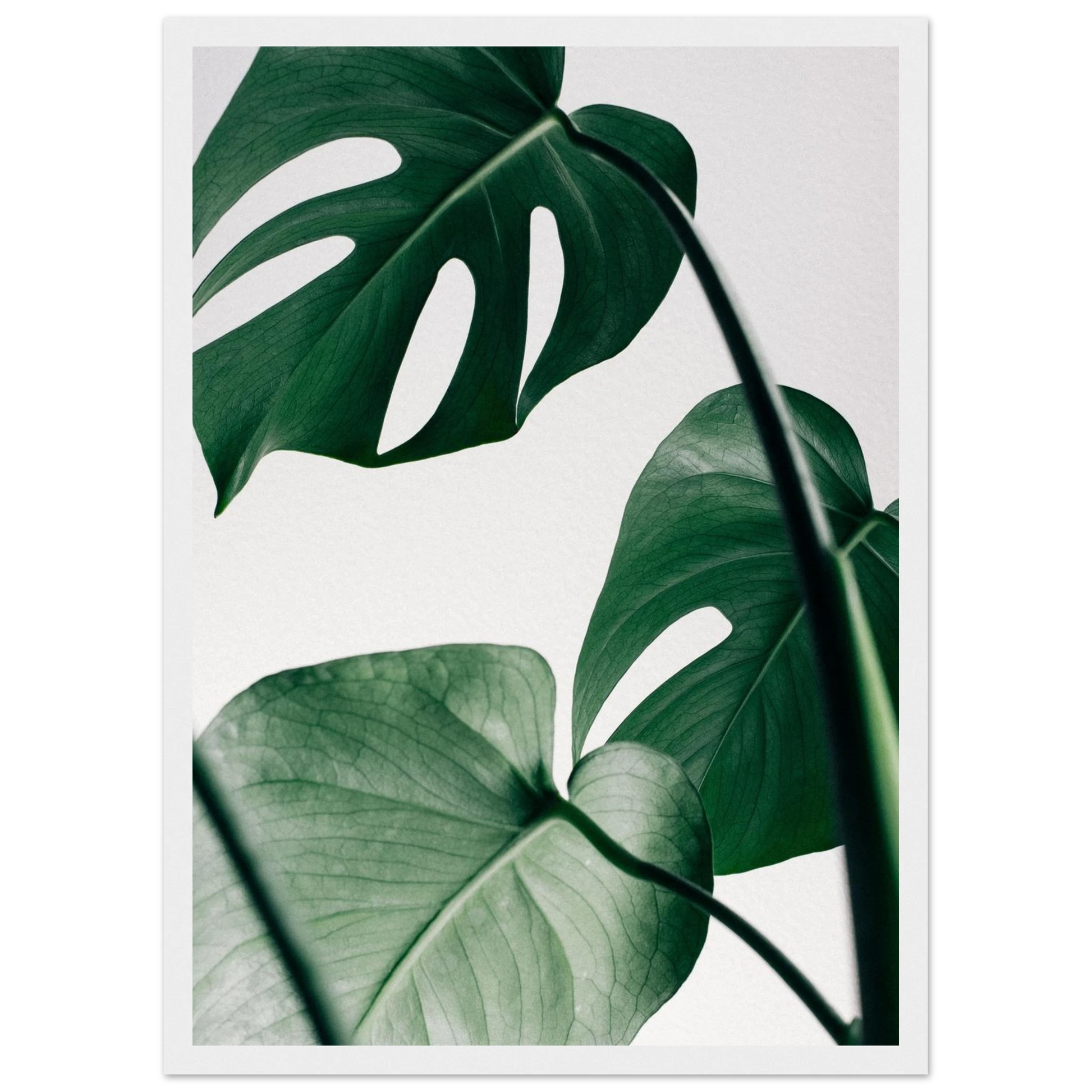 8e2f174f-6b74-4df6-9296-acf354f1bb7c