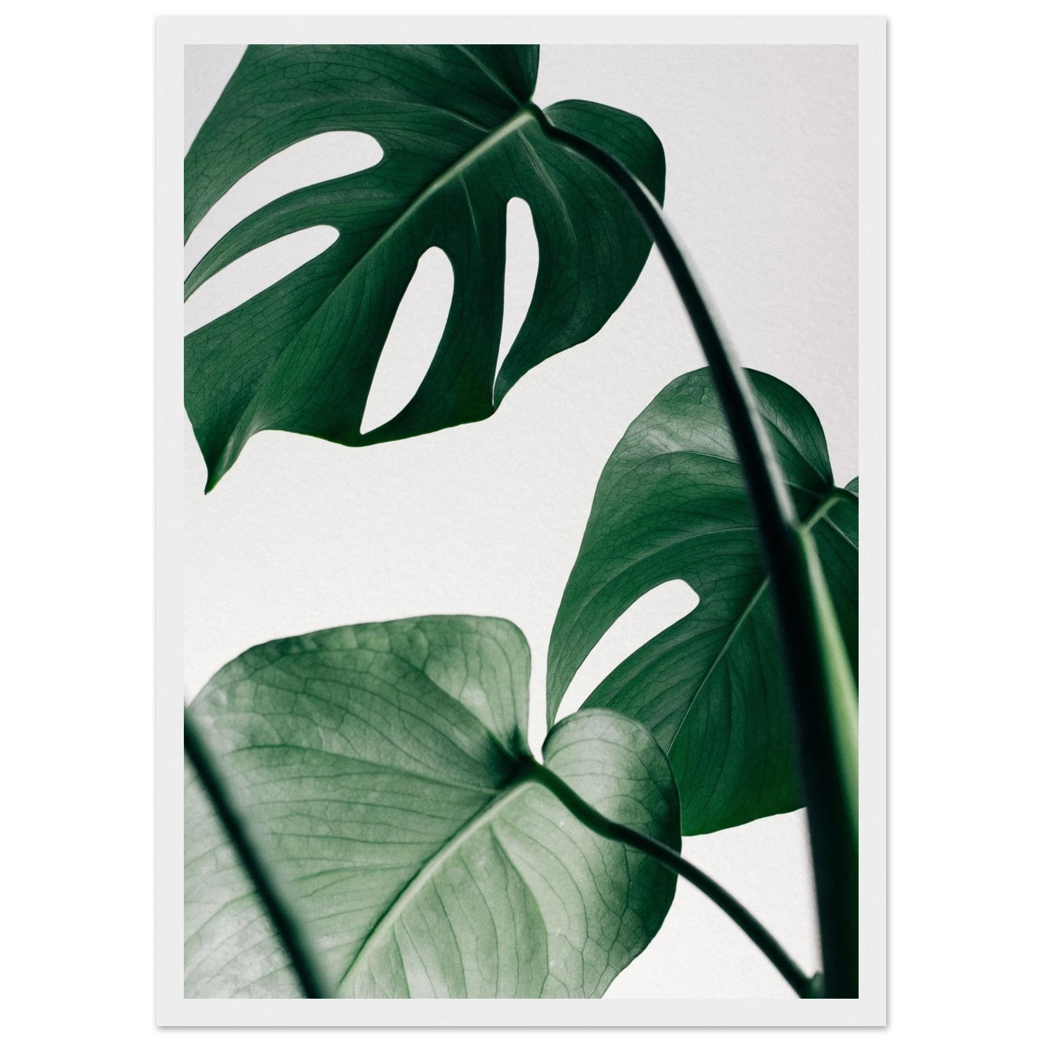 8e2f174f-6b74-4df6-9296-acf354f1bb7c