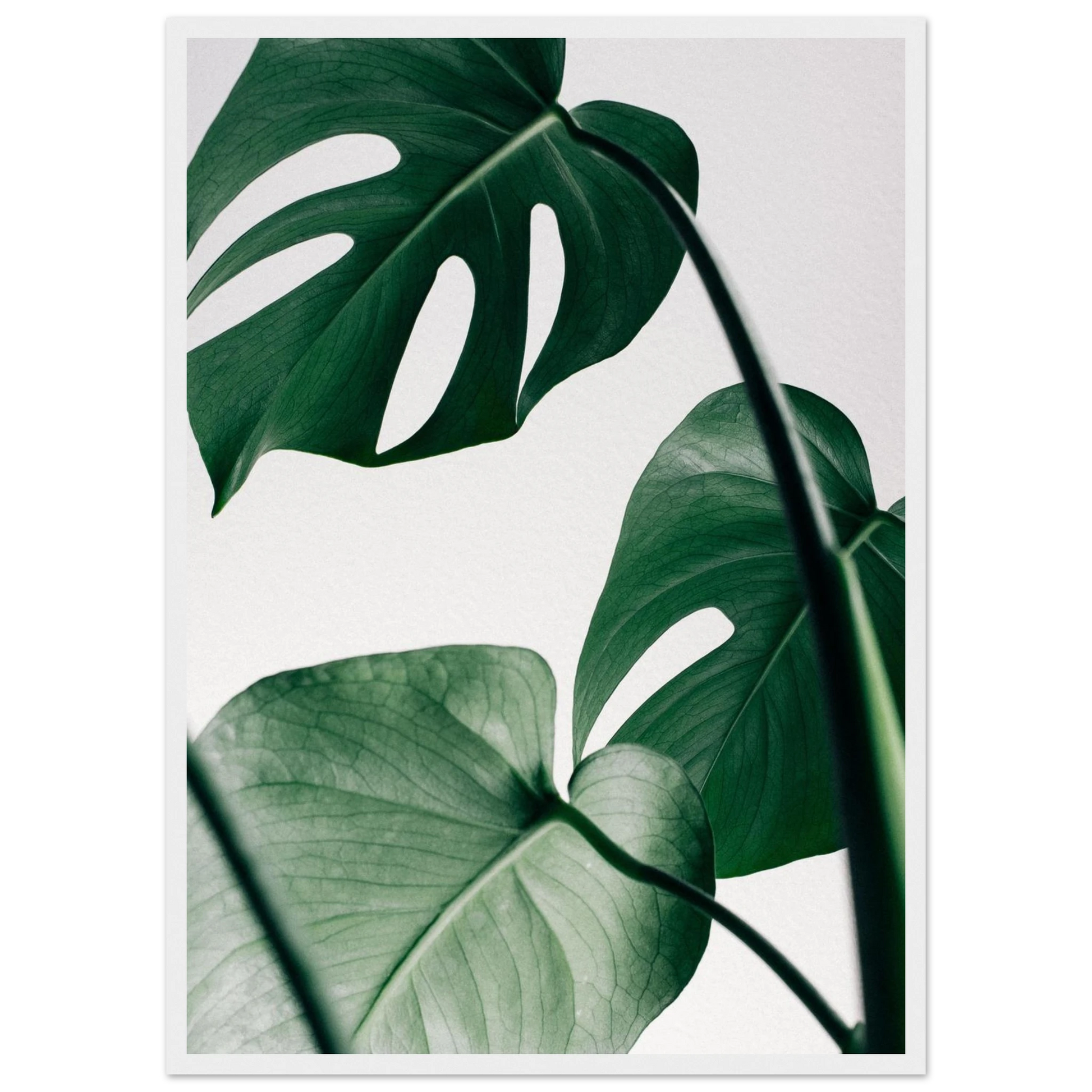 8f037627-0cd9-44b3-a07b-e7d82d13c00a