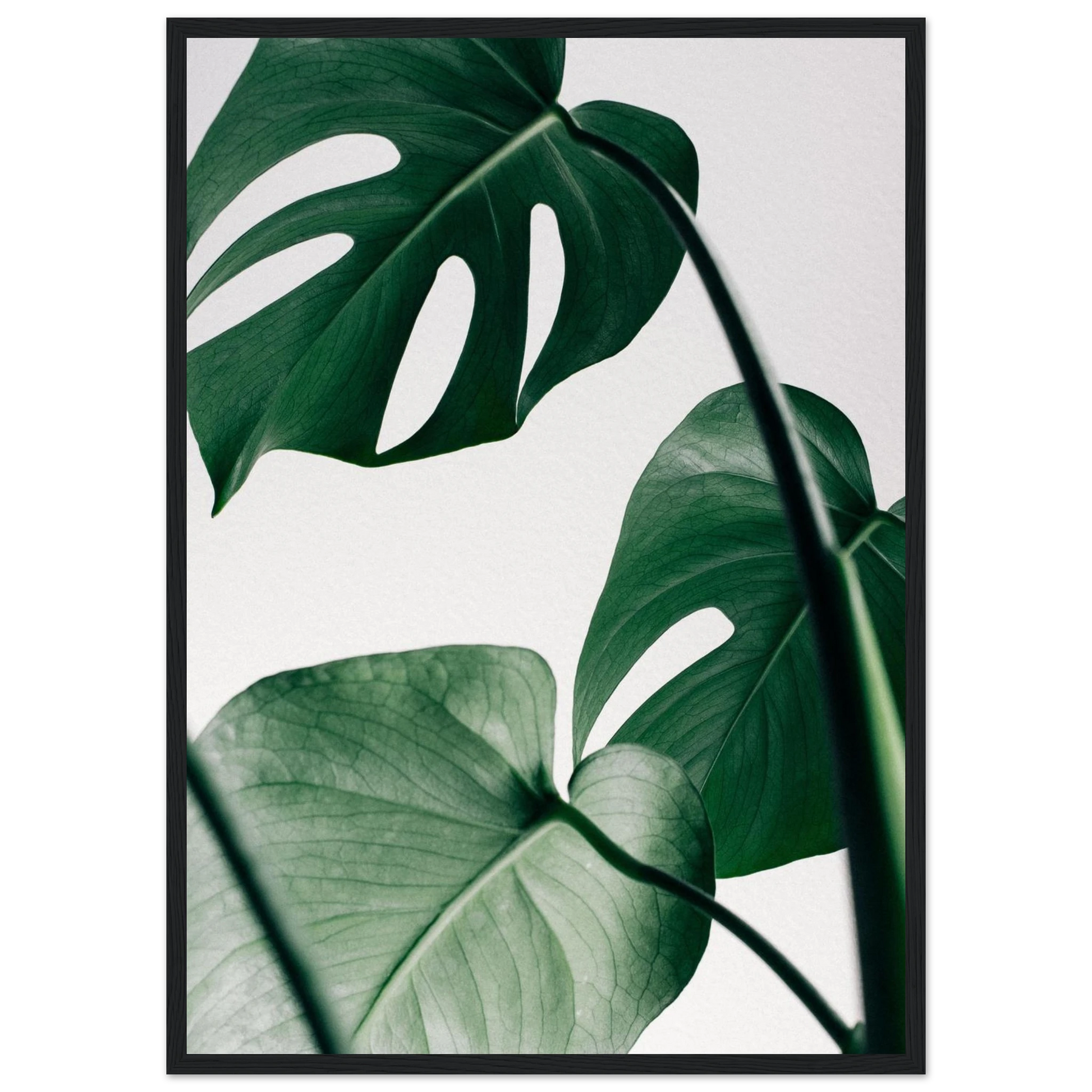 9b5c785c-0edf-4b41-ba4a-346999730ec9