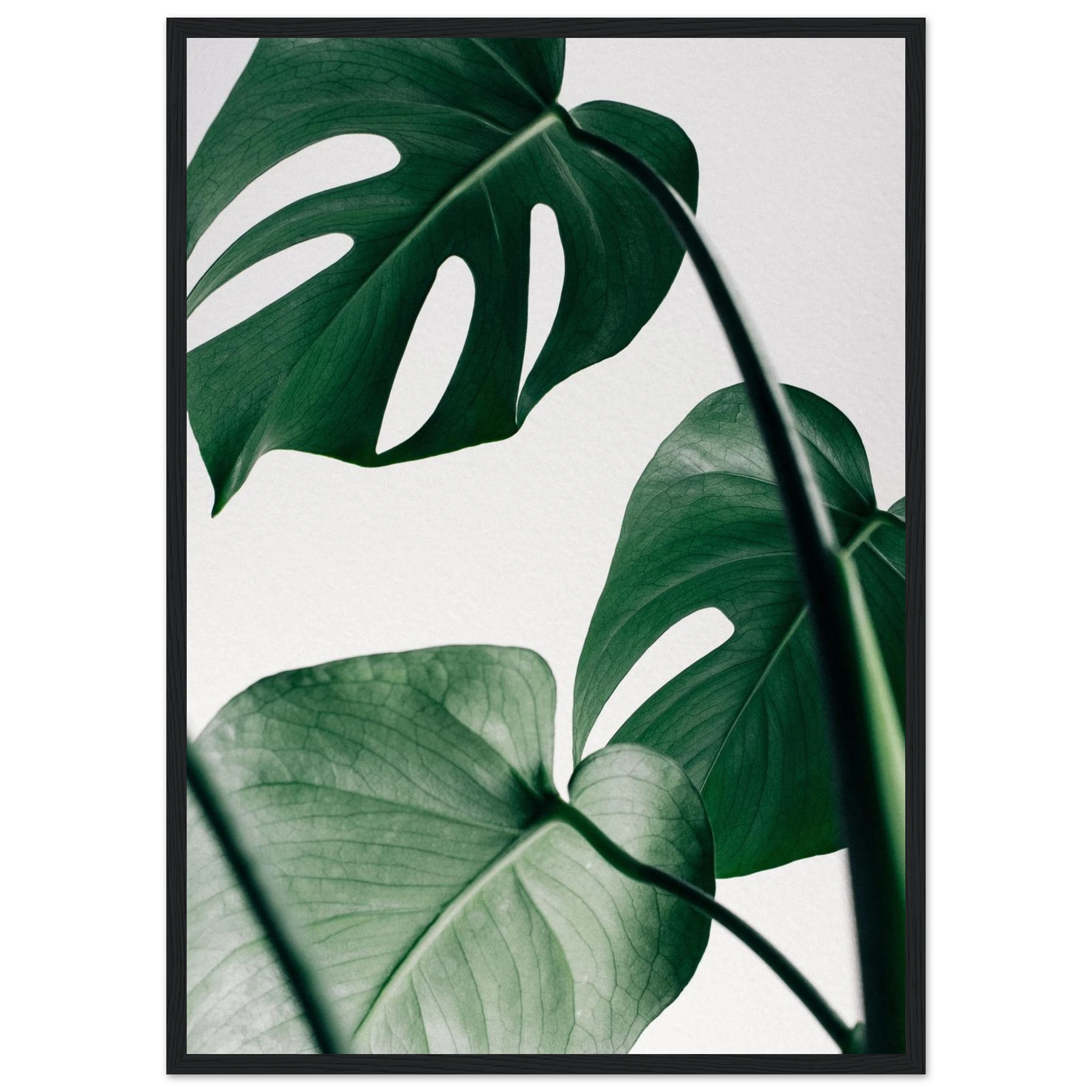 9b5c785c-0edf-4b41-ba4a-346999730ec9