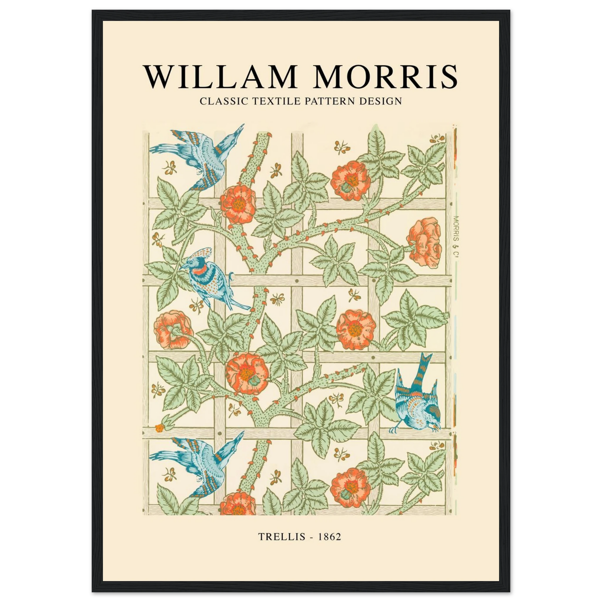 a6381757-722d-4abb-9d36-19c8e895f877