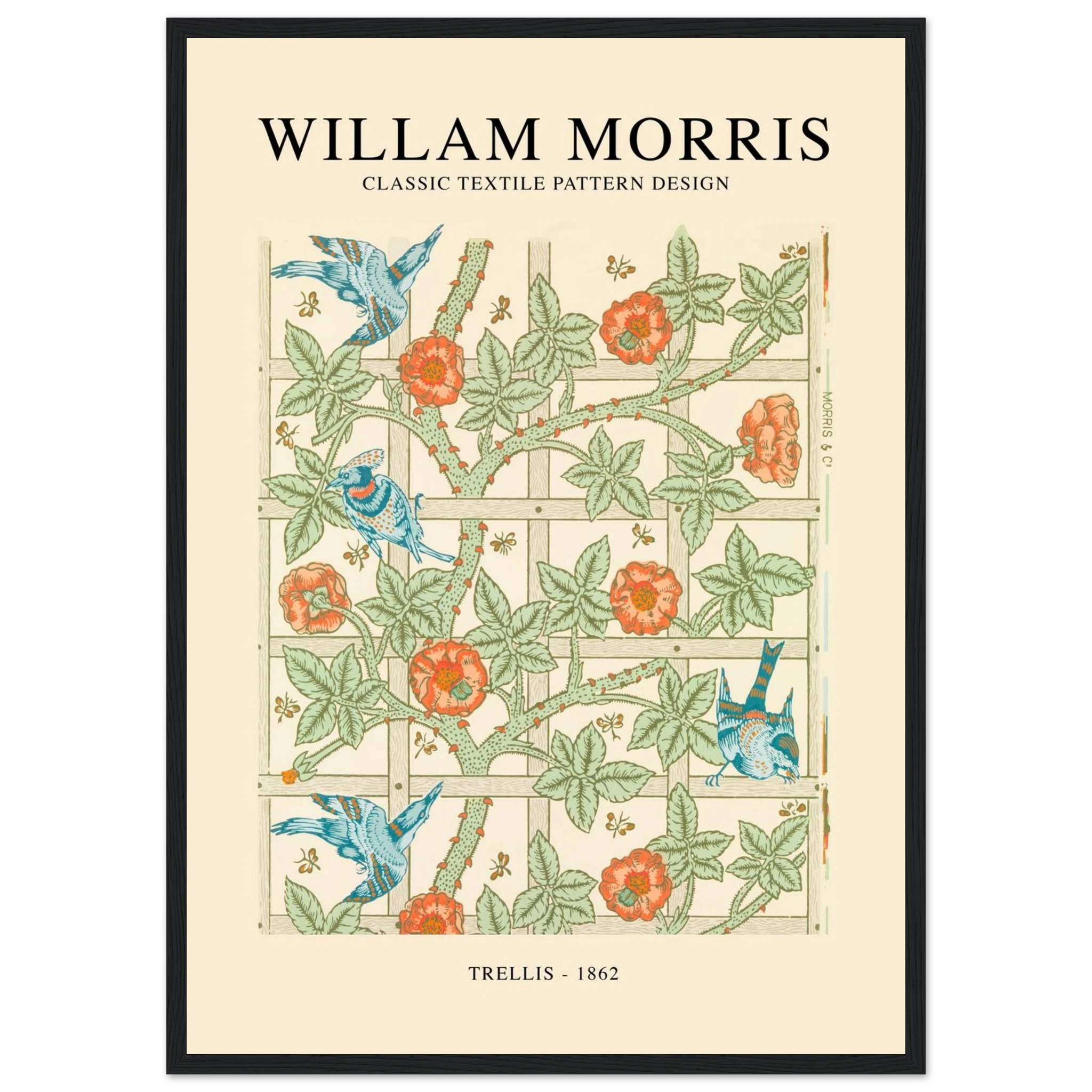 a6381757-722d-4abb-9d36-19c8e895f877