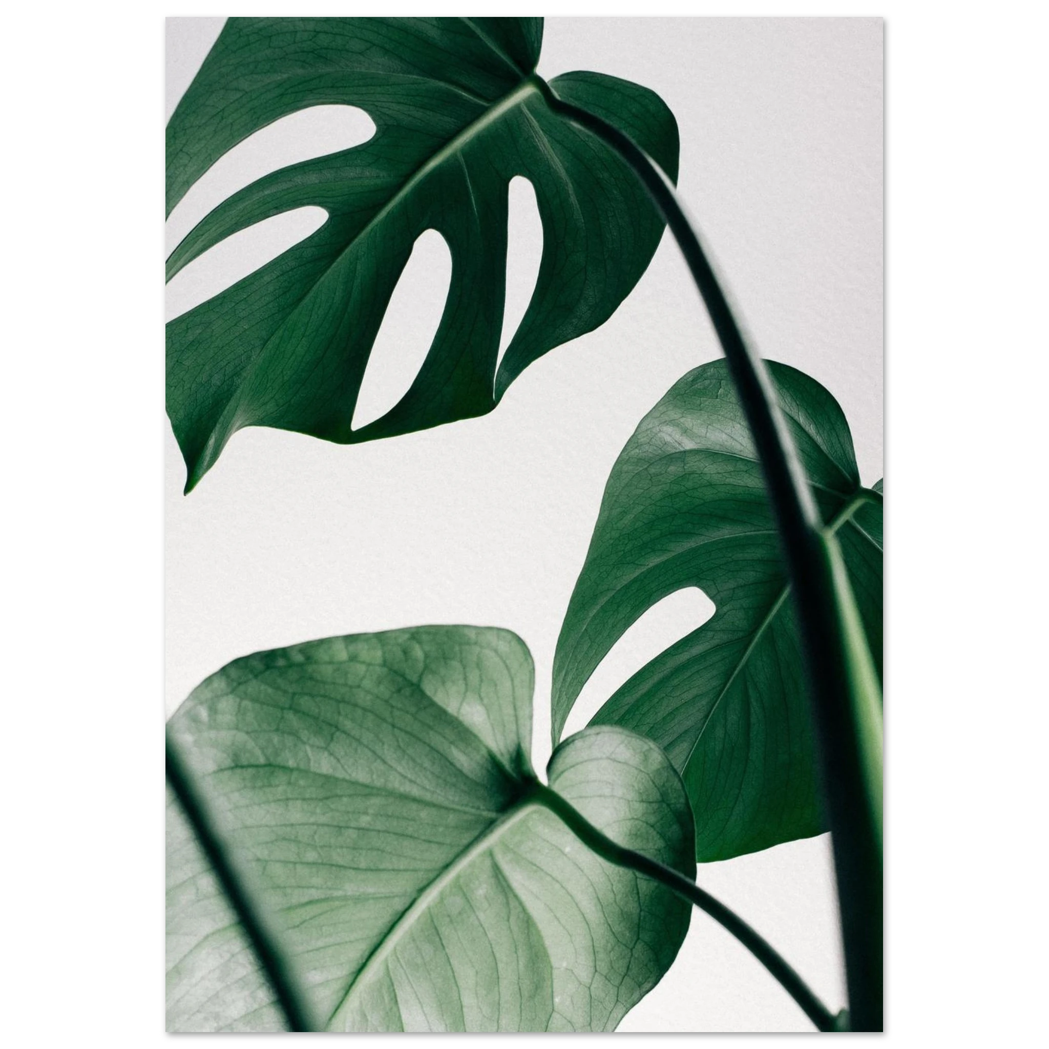 ac505b17-79ee-43b0-bccc-6105e2e01368