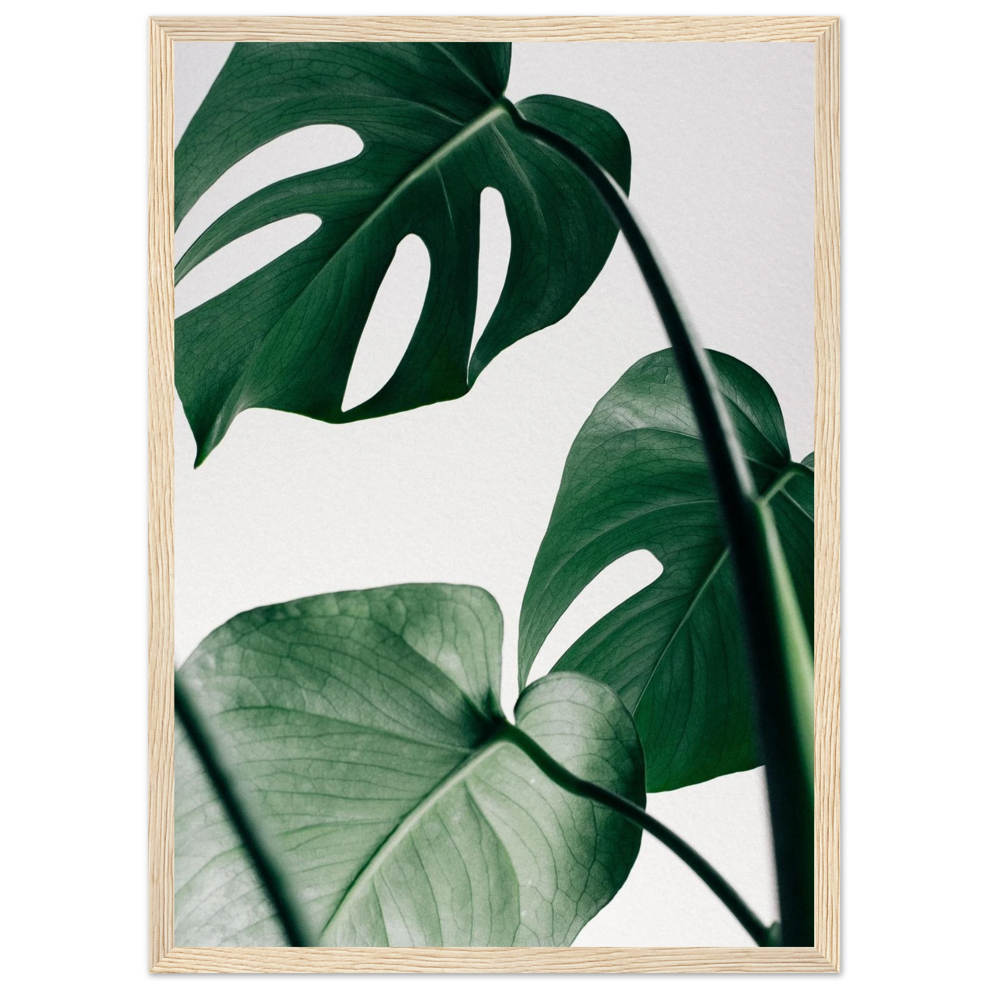 b3f6ca5d-fa34-4812-9cd0-68ad61f8fcf3