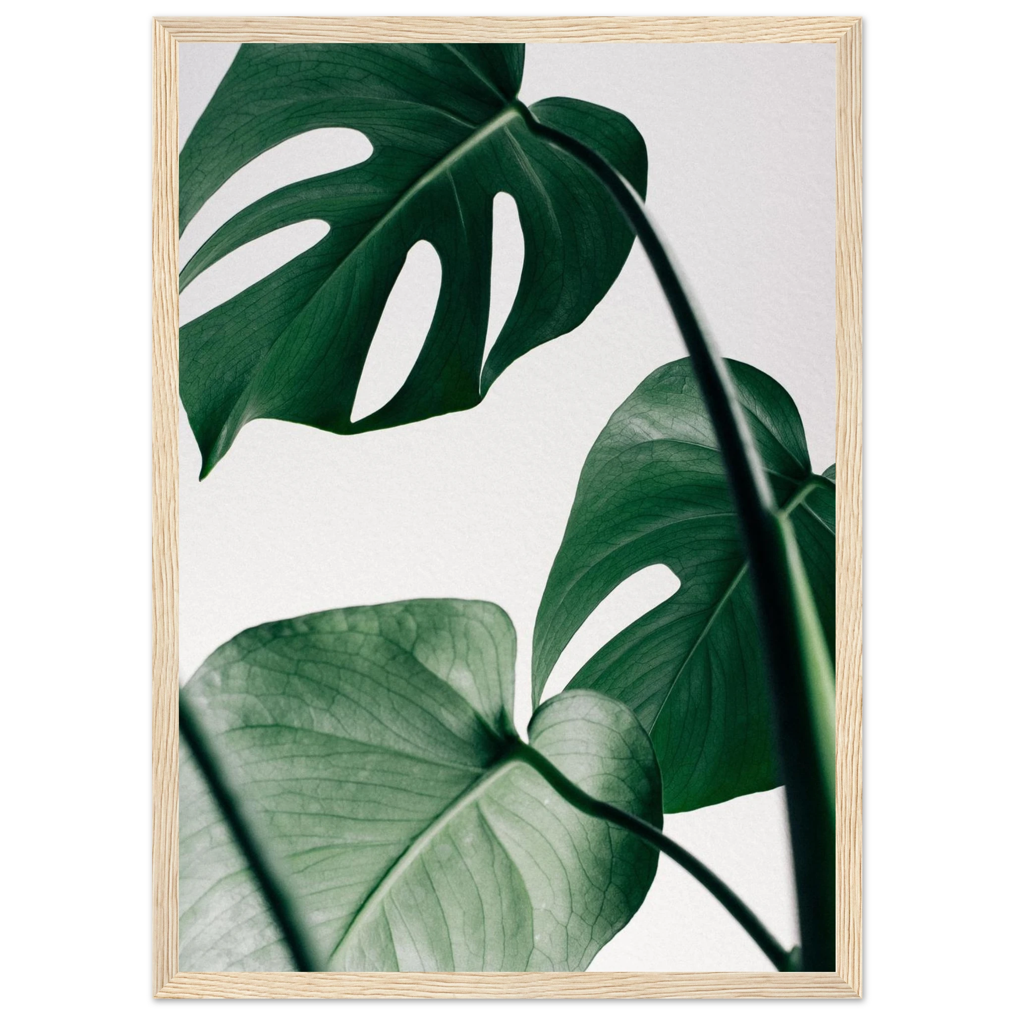 b3f6ca5d-fa34-4812-9cd0-68ad61f8fcf3