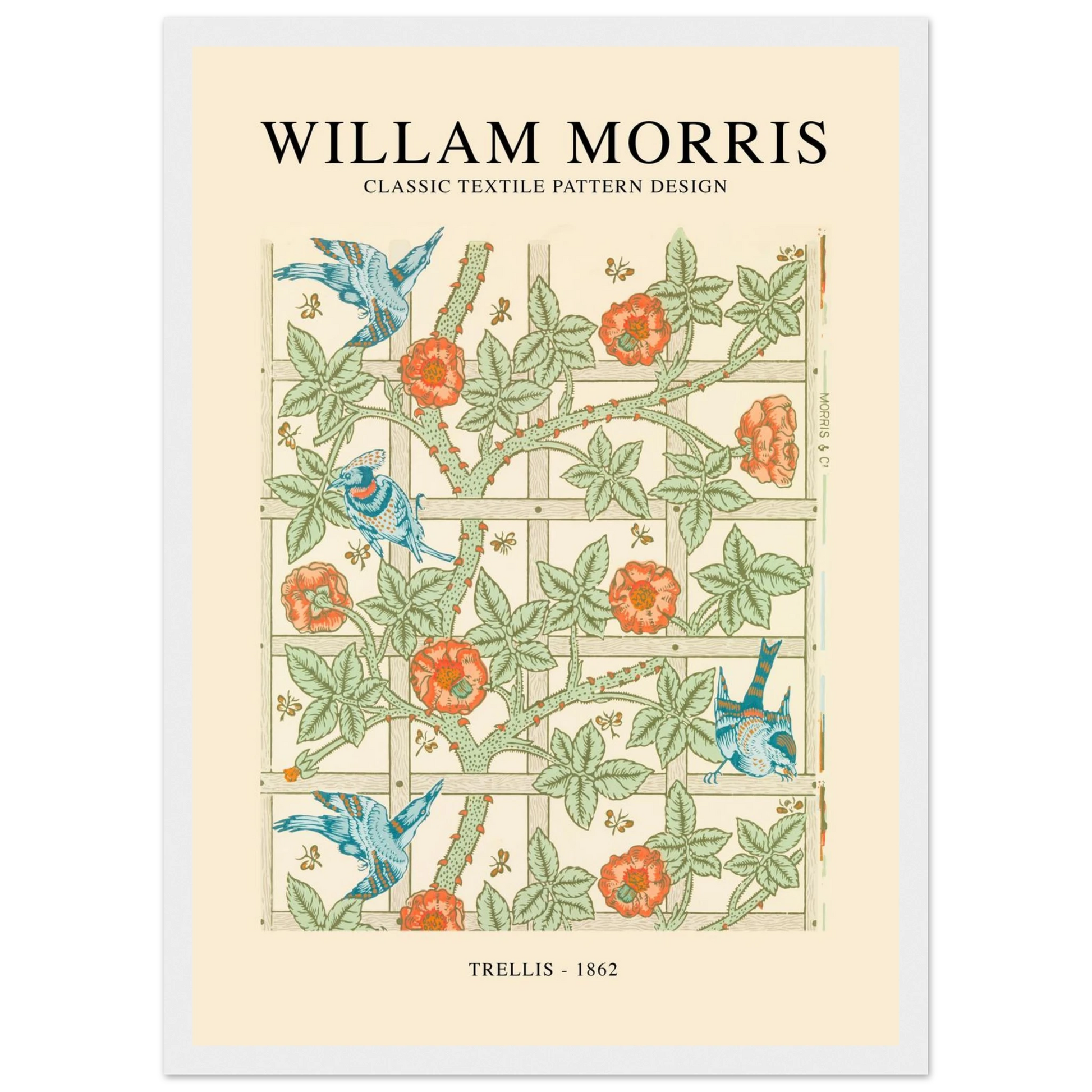 b40de5a1-31aa-4b27-a6b8-e3ff29f9e436