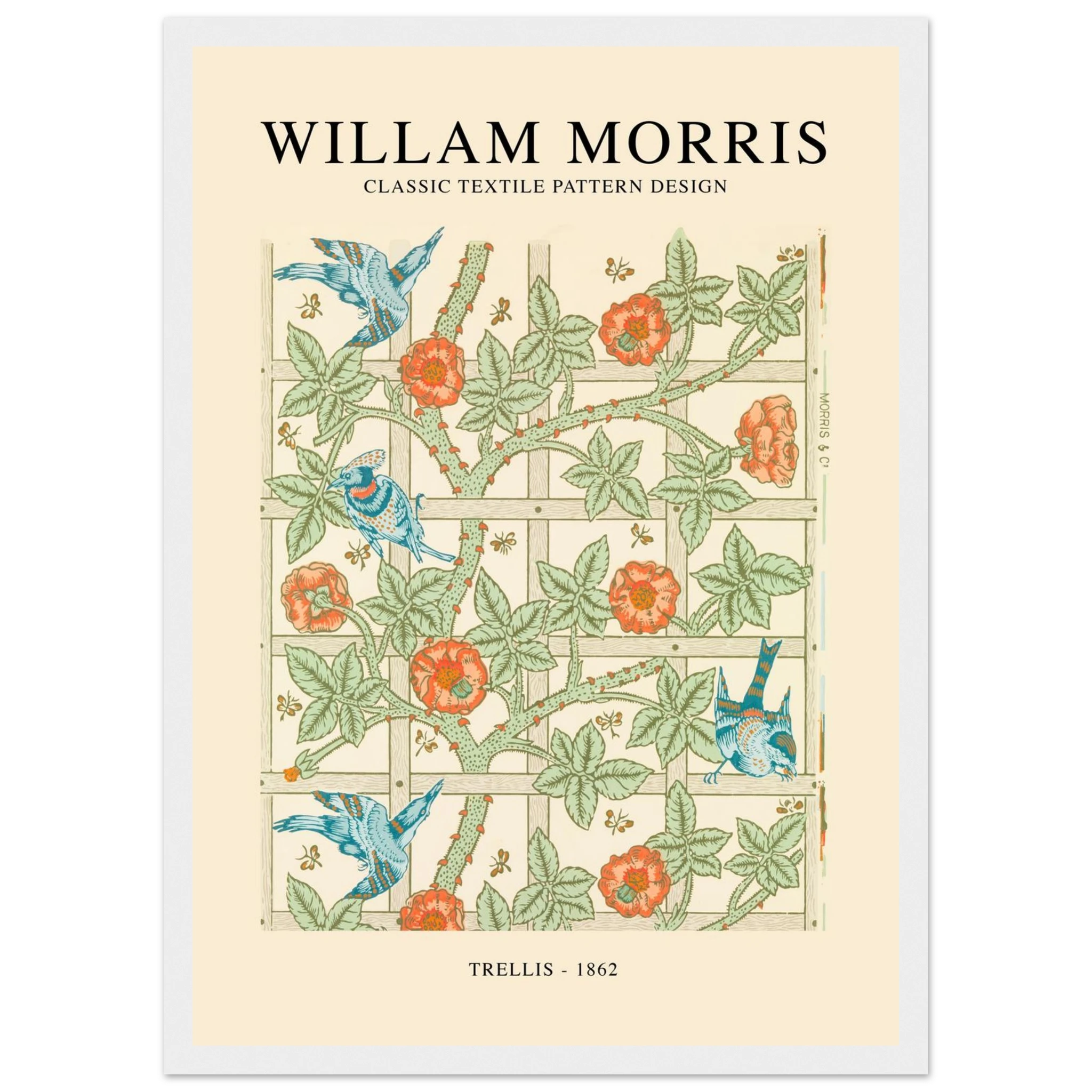 b40de5a1-31aa-4b27-a6b8-e3ff29f9e436