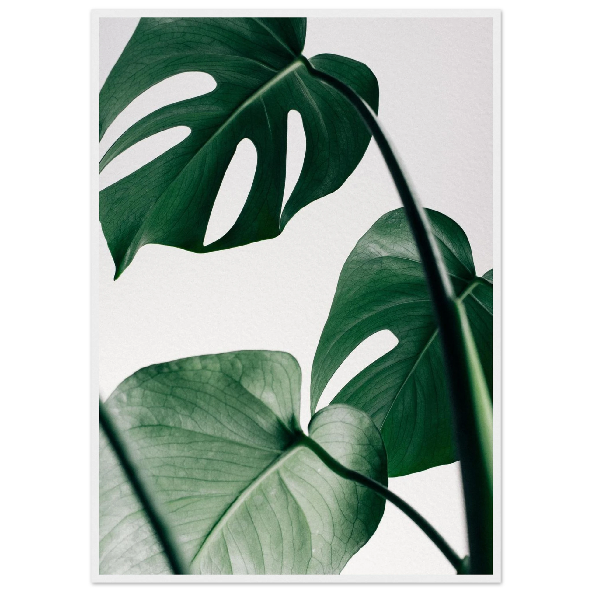 d388e49f-fee3-4062-857a-b43b5b8bf1f1