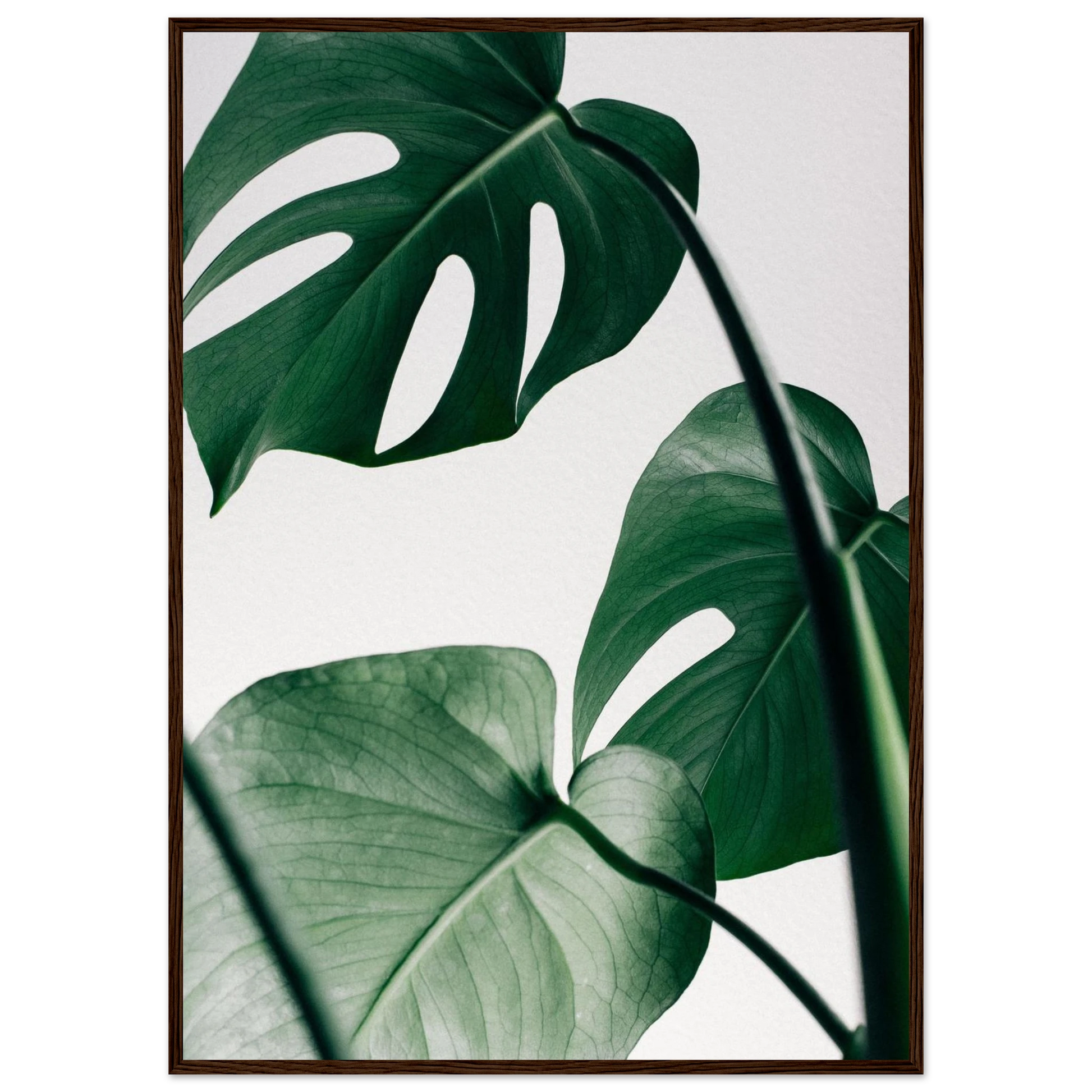 d9832464-c116-4ff2-ba77-3dfc8ce5892d