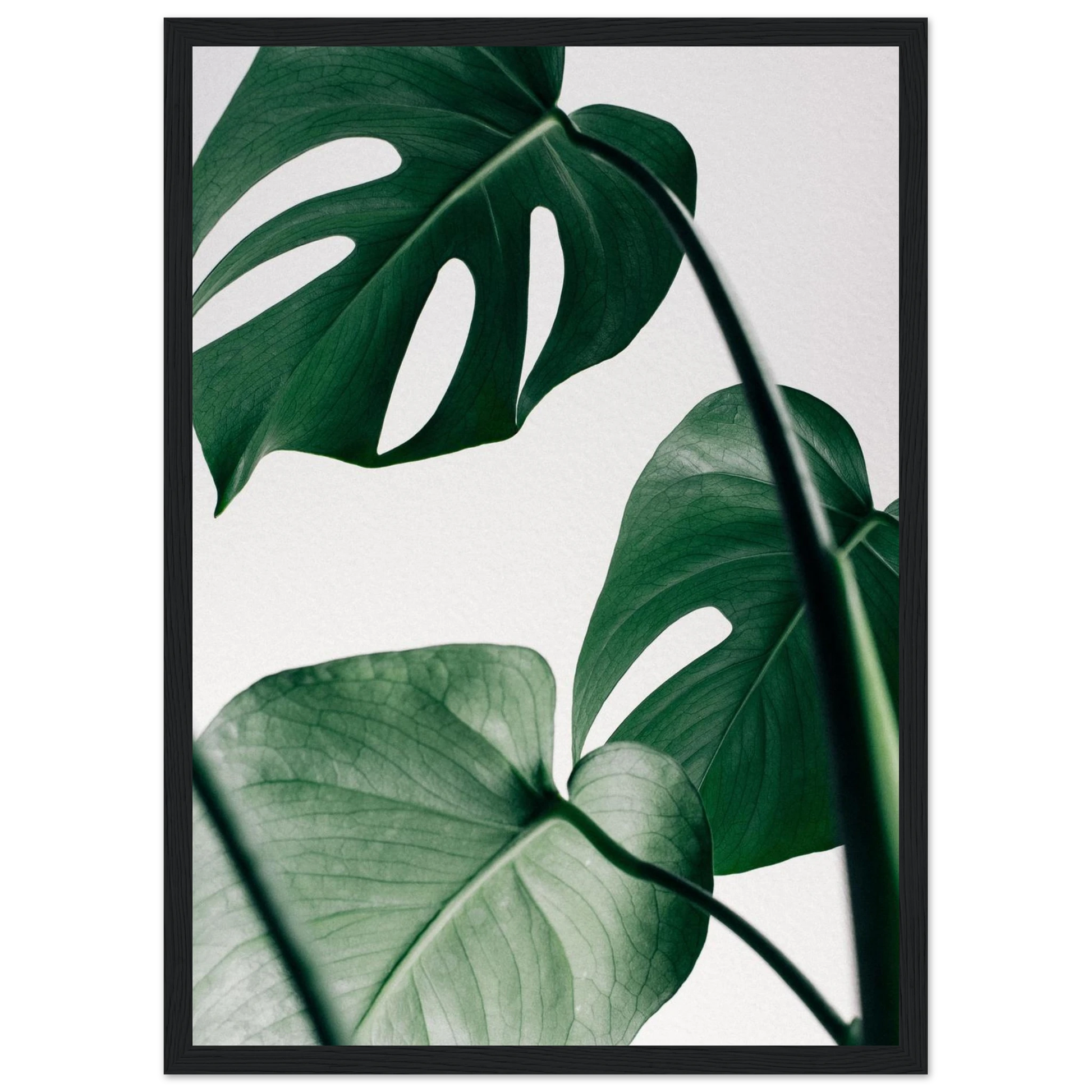 da849d2d-2902-4494-8723-6759dd2c4826