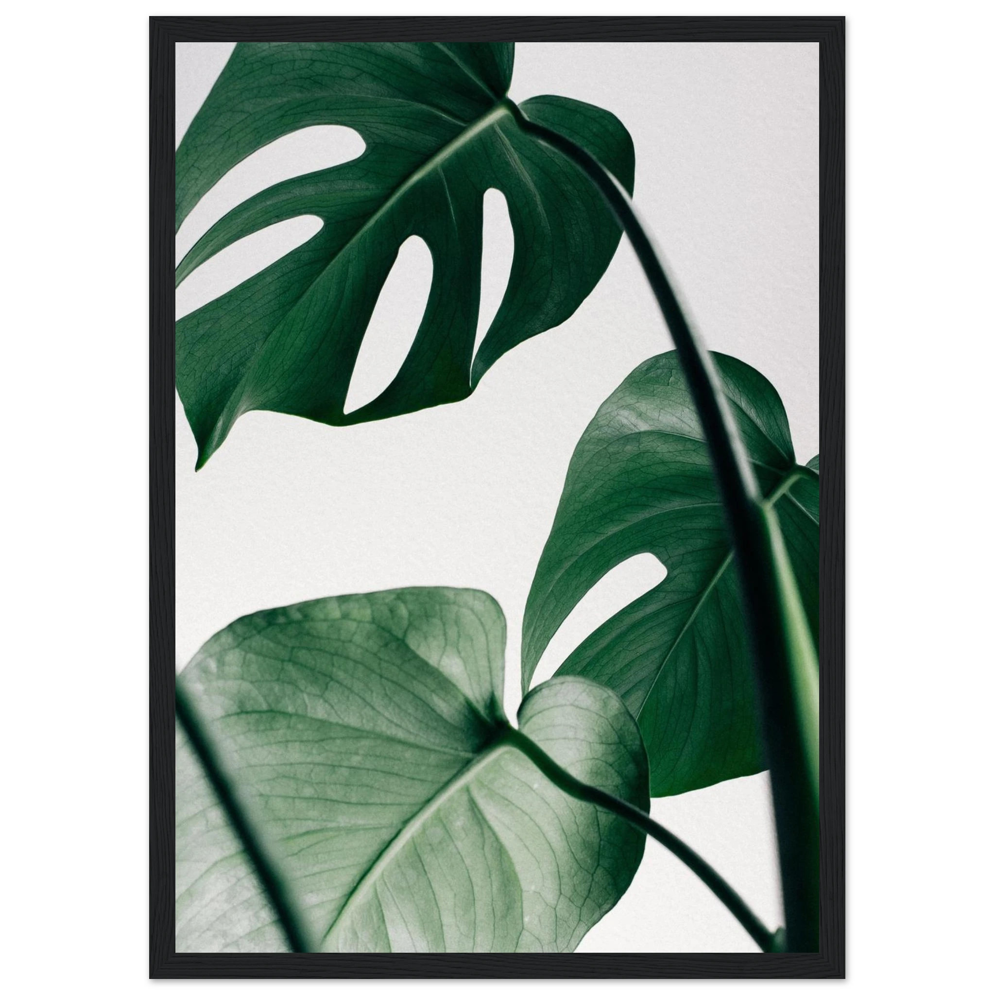 da849d2d-2902-4494-8723-6759dd2c4826