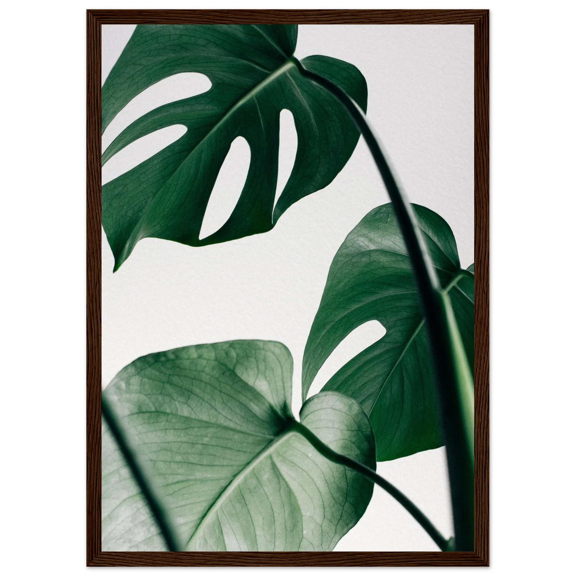 e003e15e-0aaa-41b3-88b5-42b5910d2442