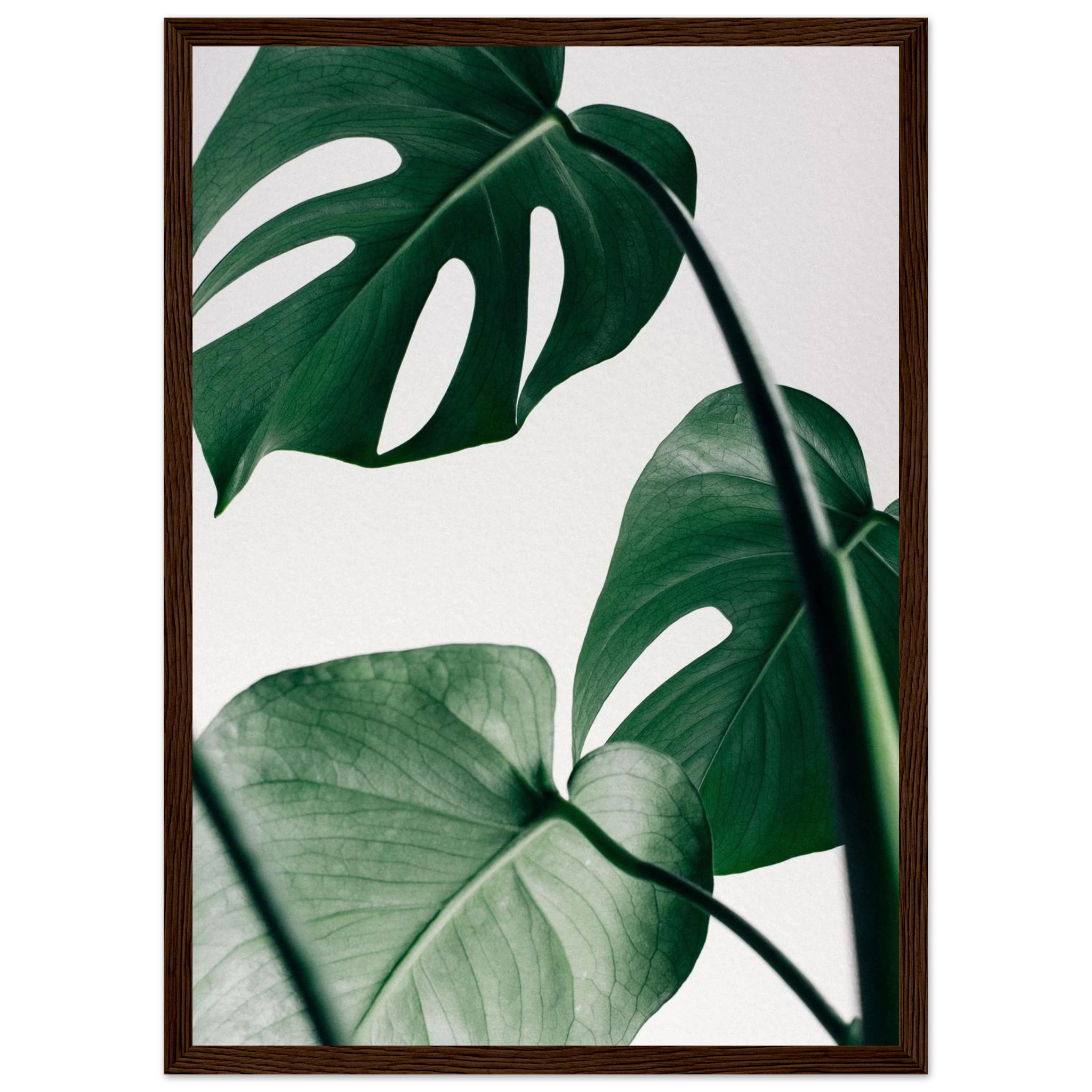 e003e15e-0aaa-41b3-88b5-42b5910d2442