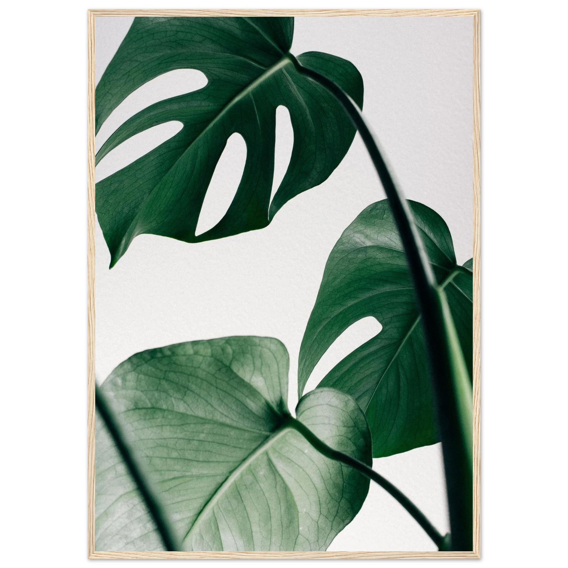 ed1b4027-7a4d-4784-929b-5402a9d2bb3b