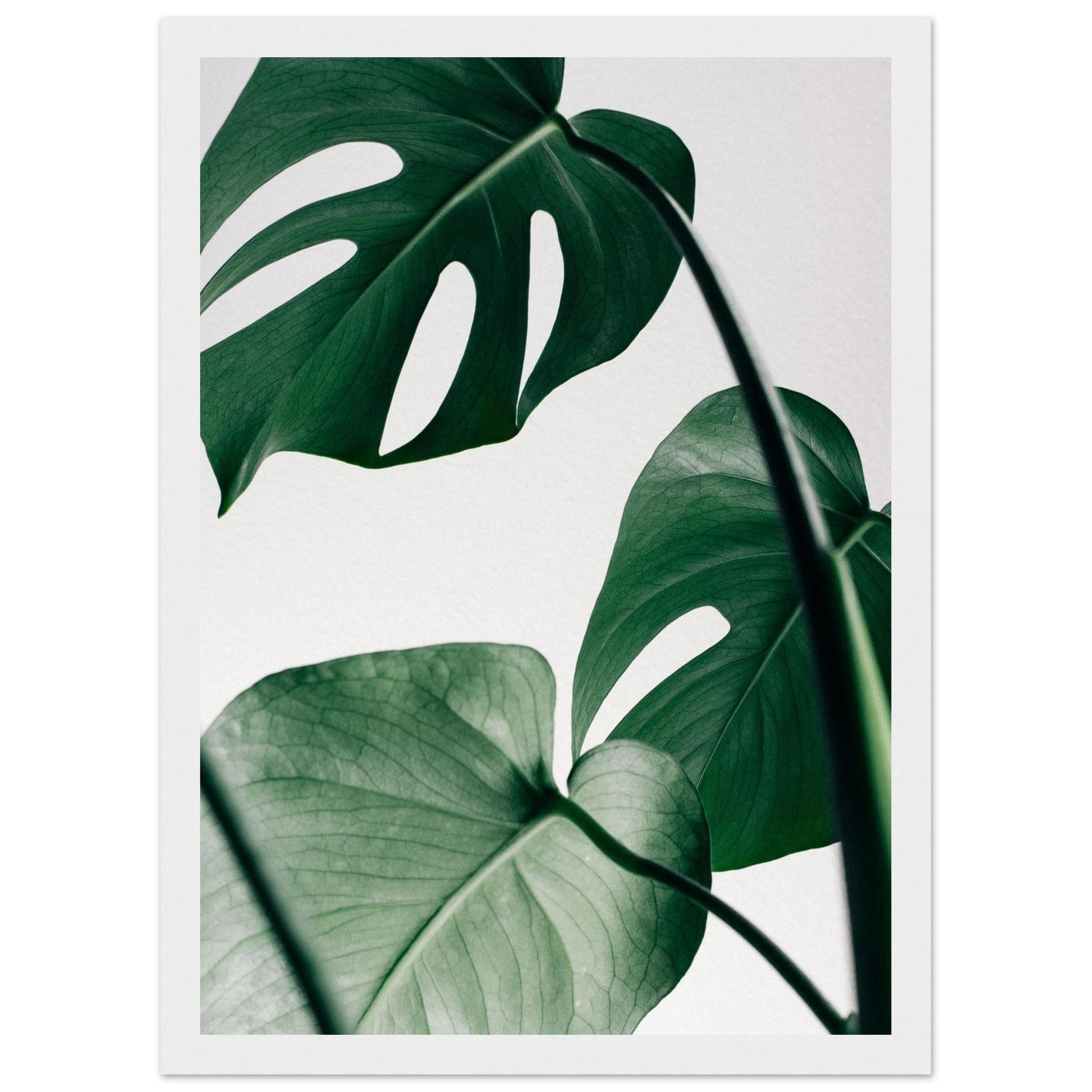 f0507307-7a21-4ef0-b600-b14a9f65fa19