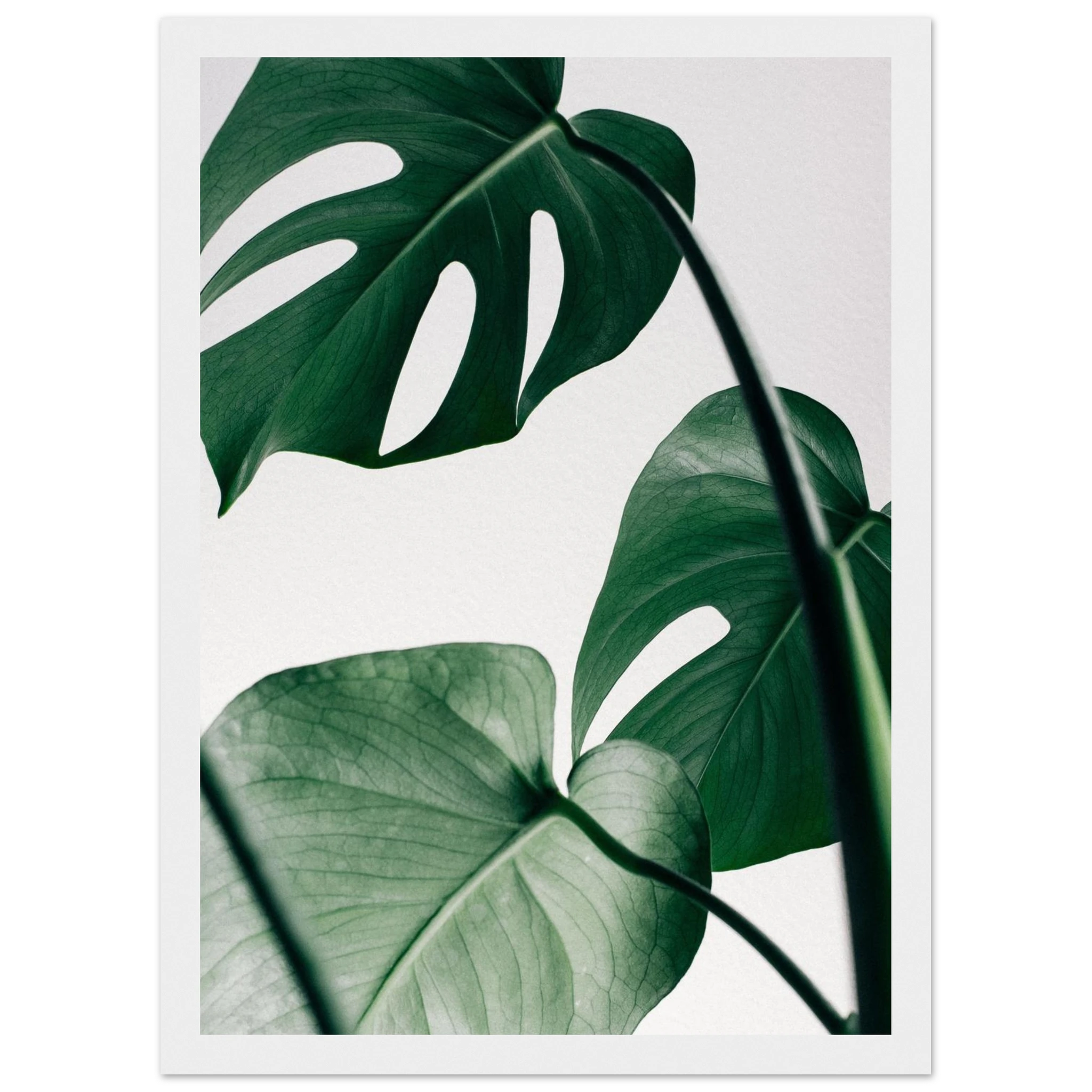 f0507307-7a21-4ef0-b600-b14a9f65fa19