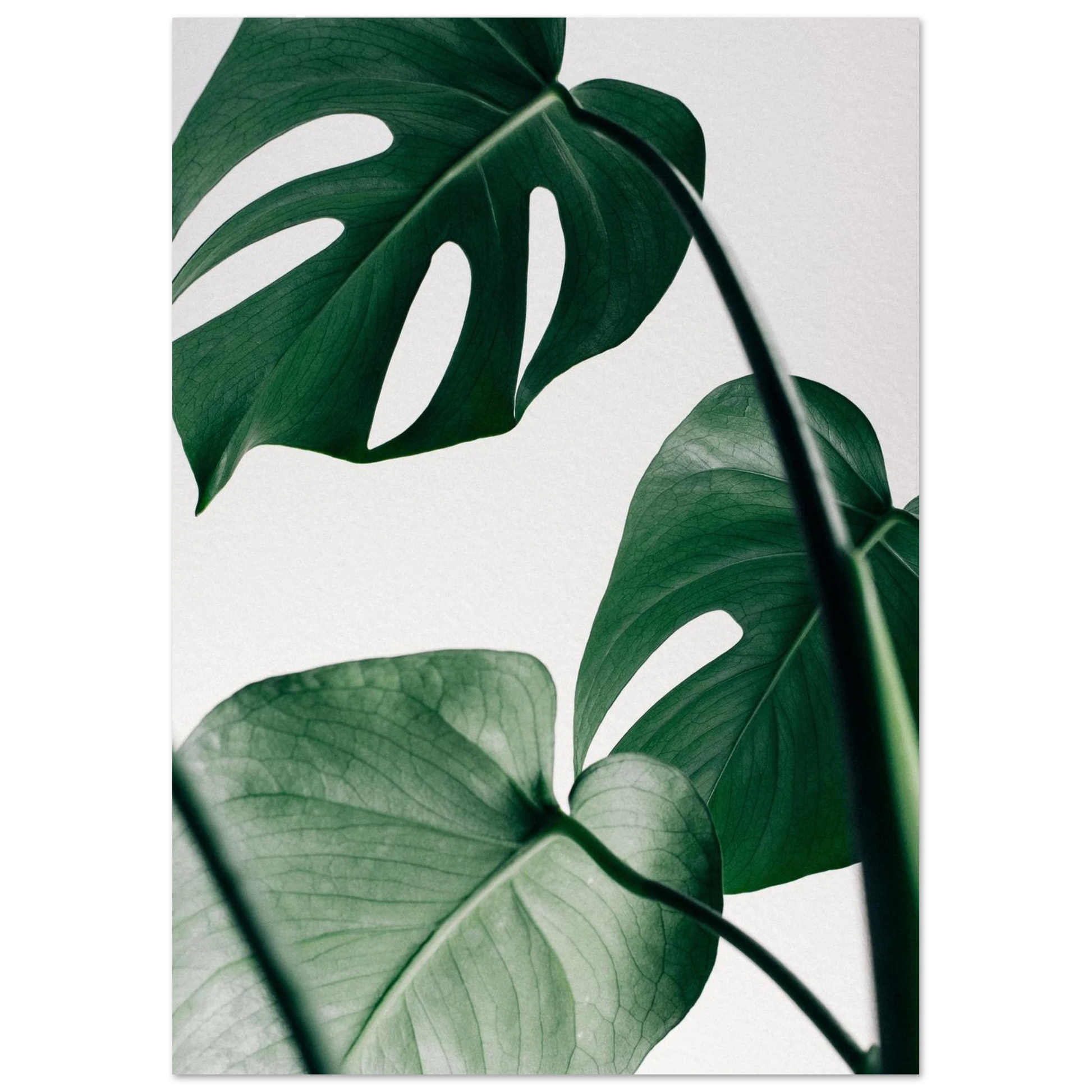 f7e7660a-a09d-4a82-b527-db88bea71181