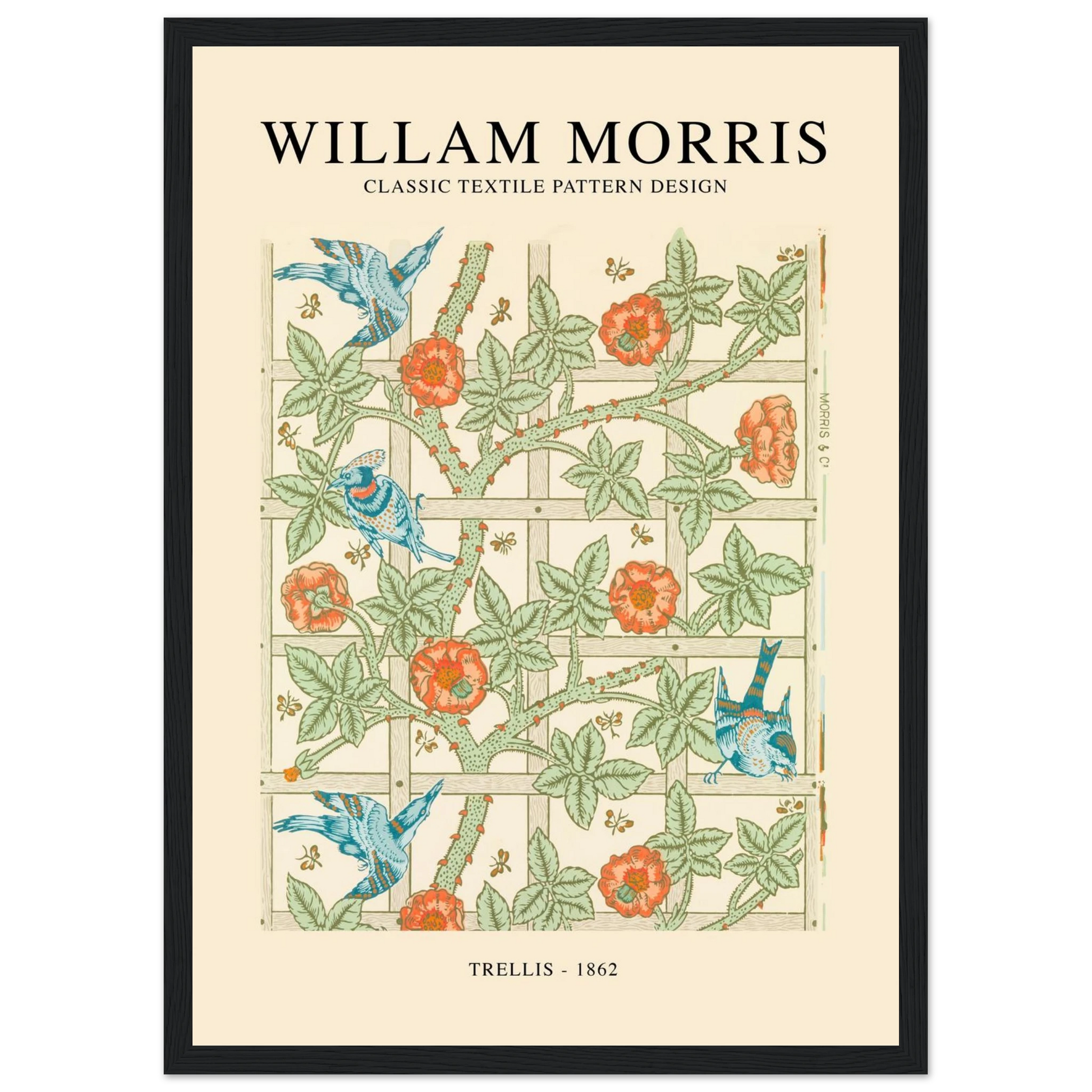 fd1f7502-5cc6-4080-973c-c9dba4c59e9c