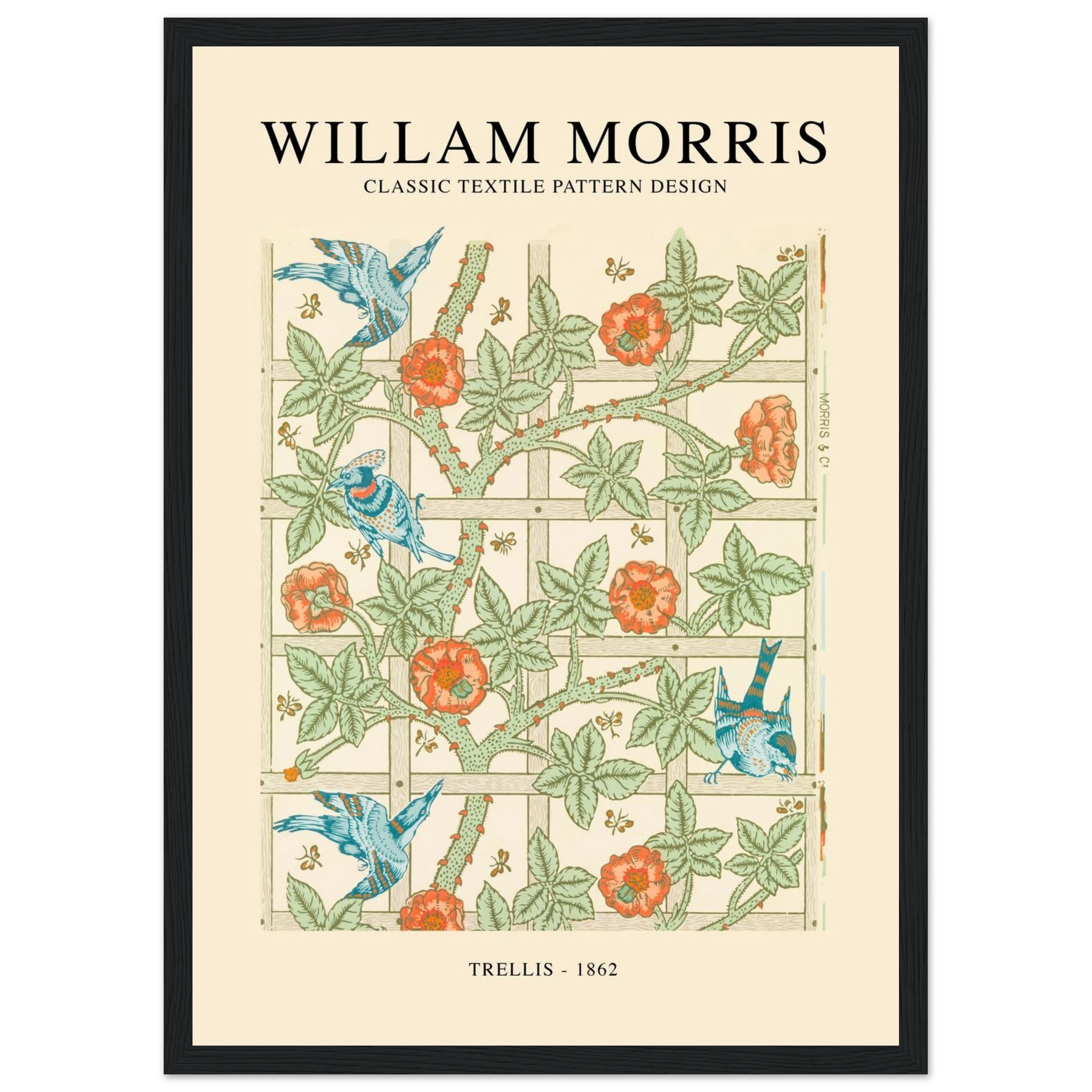 fd1f7502-5cc6-4080-973c-c9dba4c59e9c